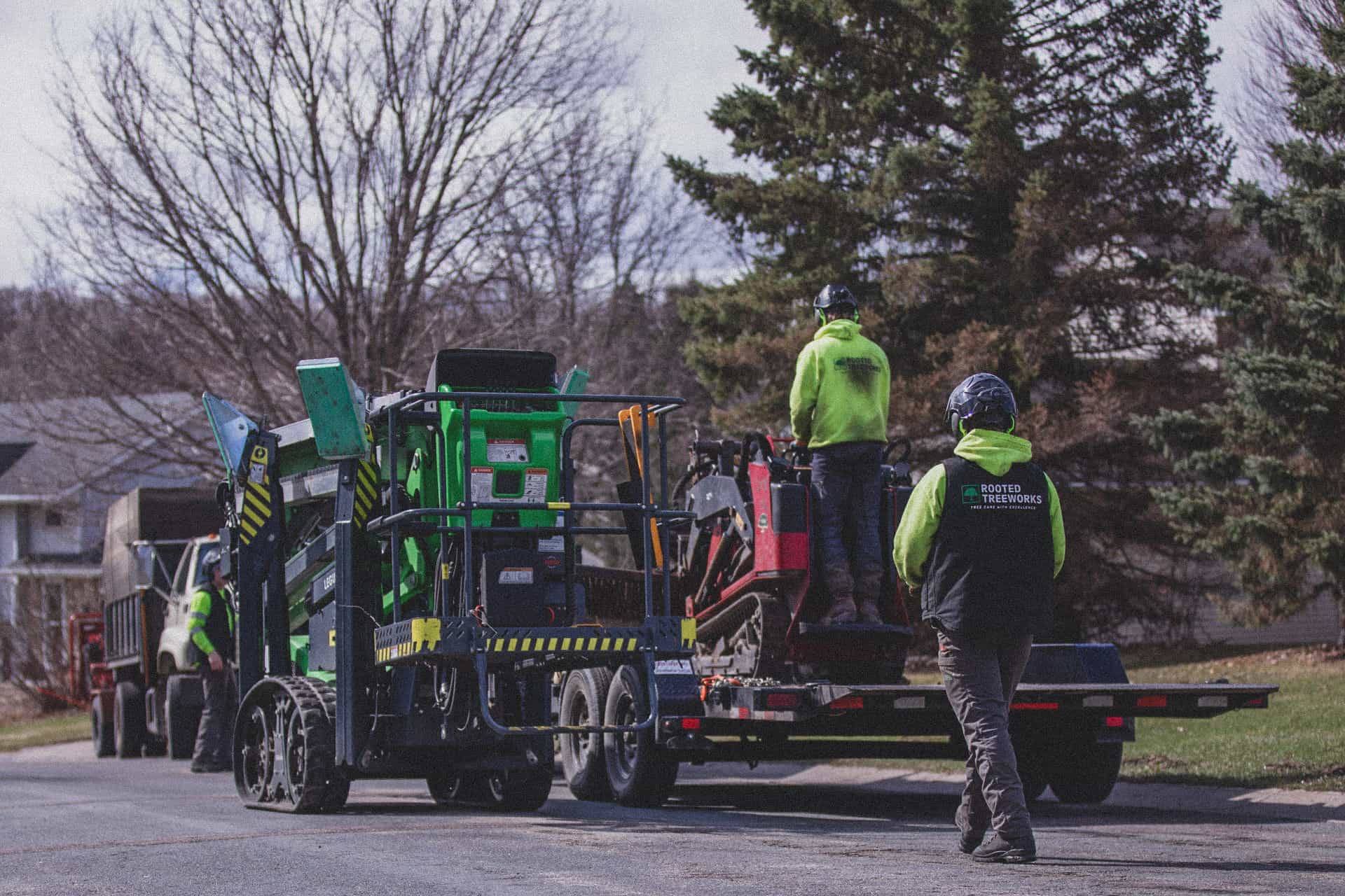 Hero image for Rooted Treeworks