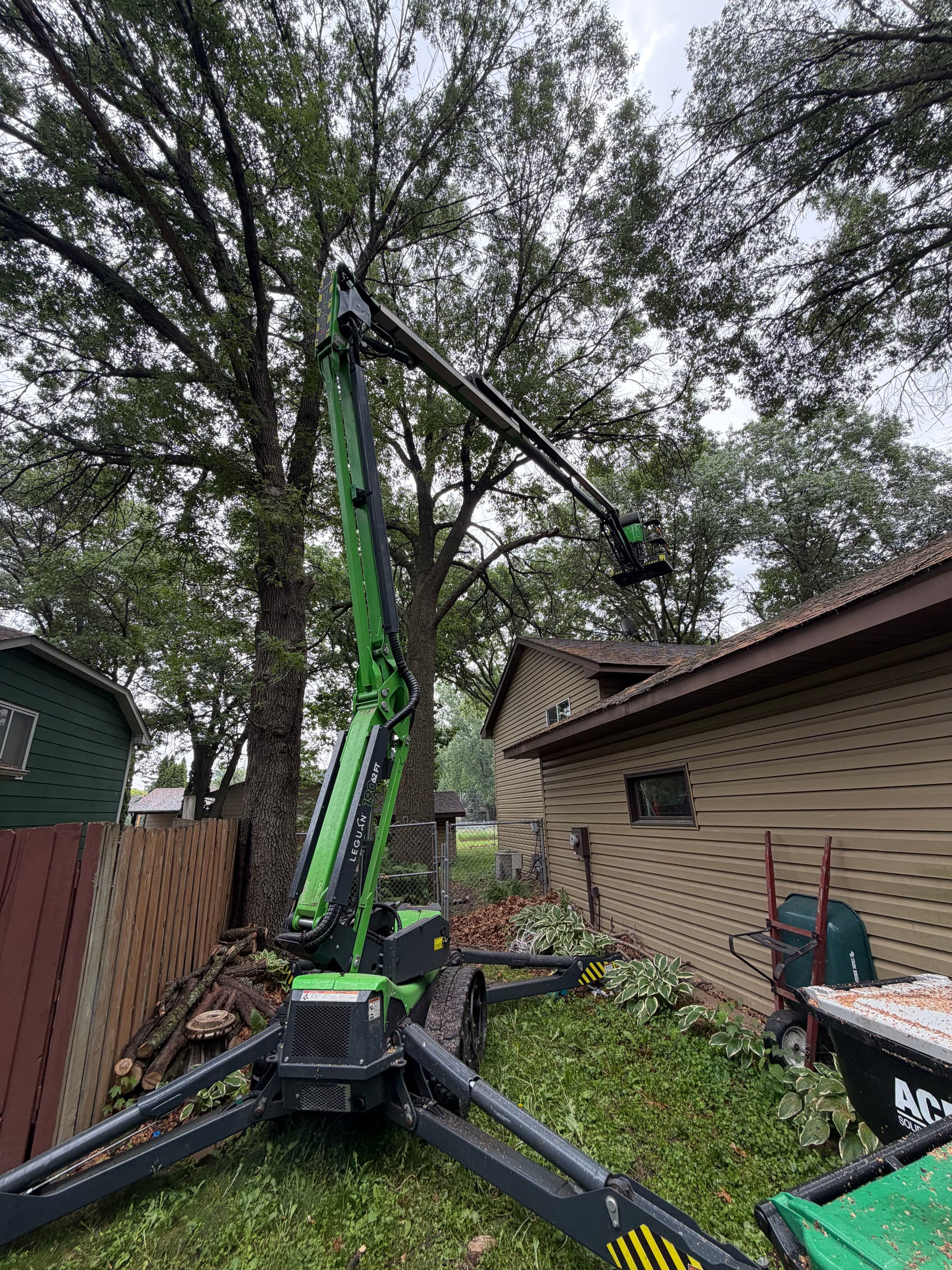 Dead Oak Removal + Pruning Over Home image