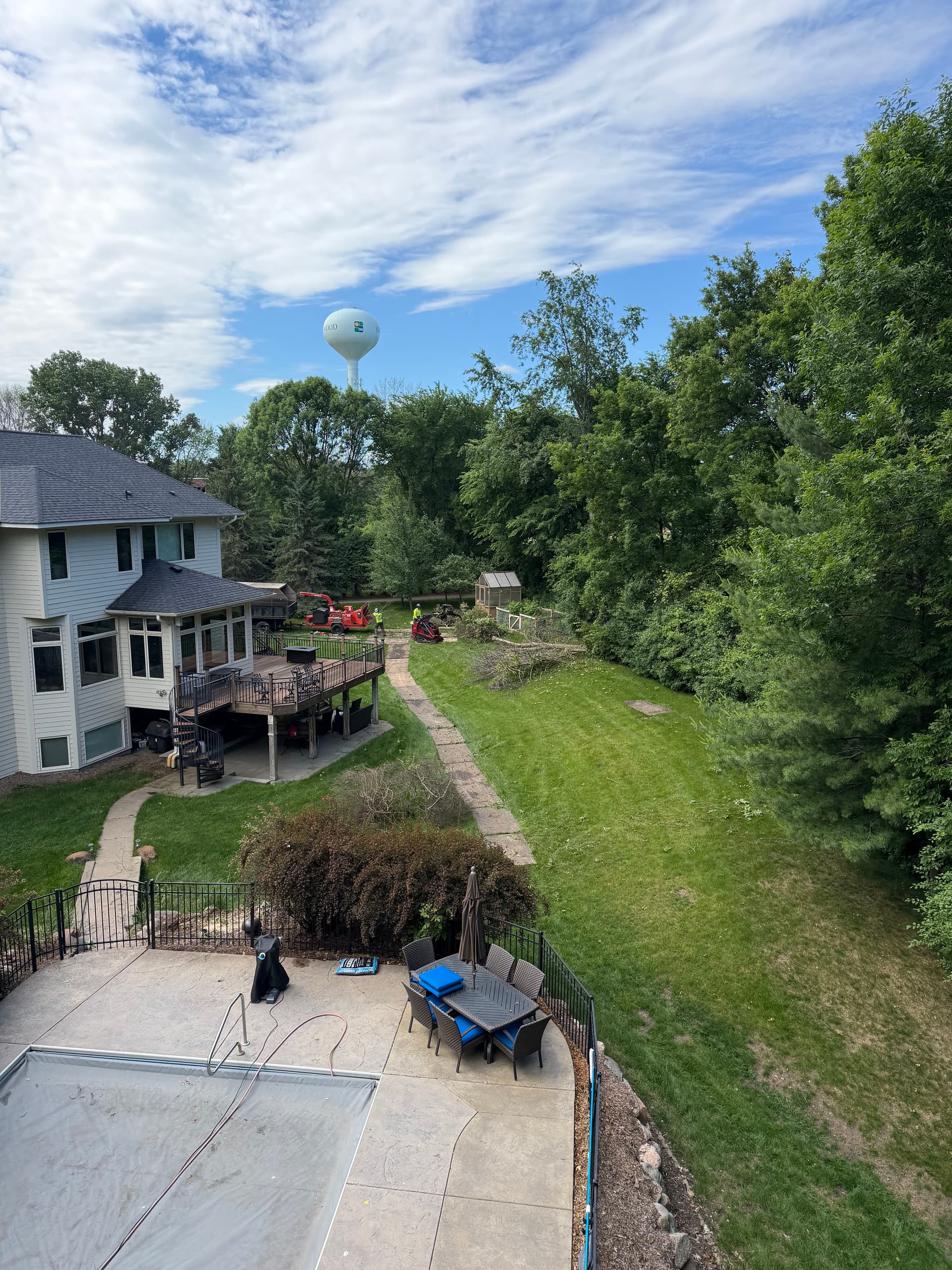 Ash Removal and Shrub Pruning in Shorewood, MN image