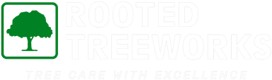 Rooted Treeworks