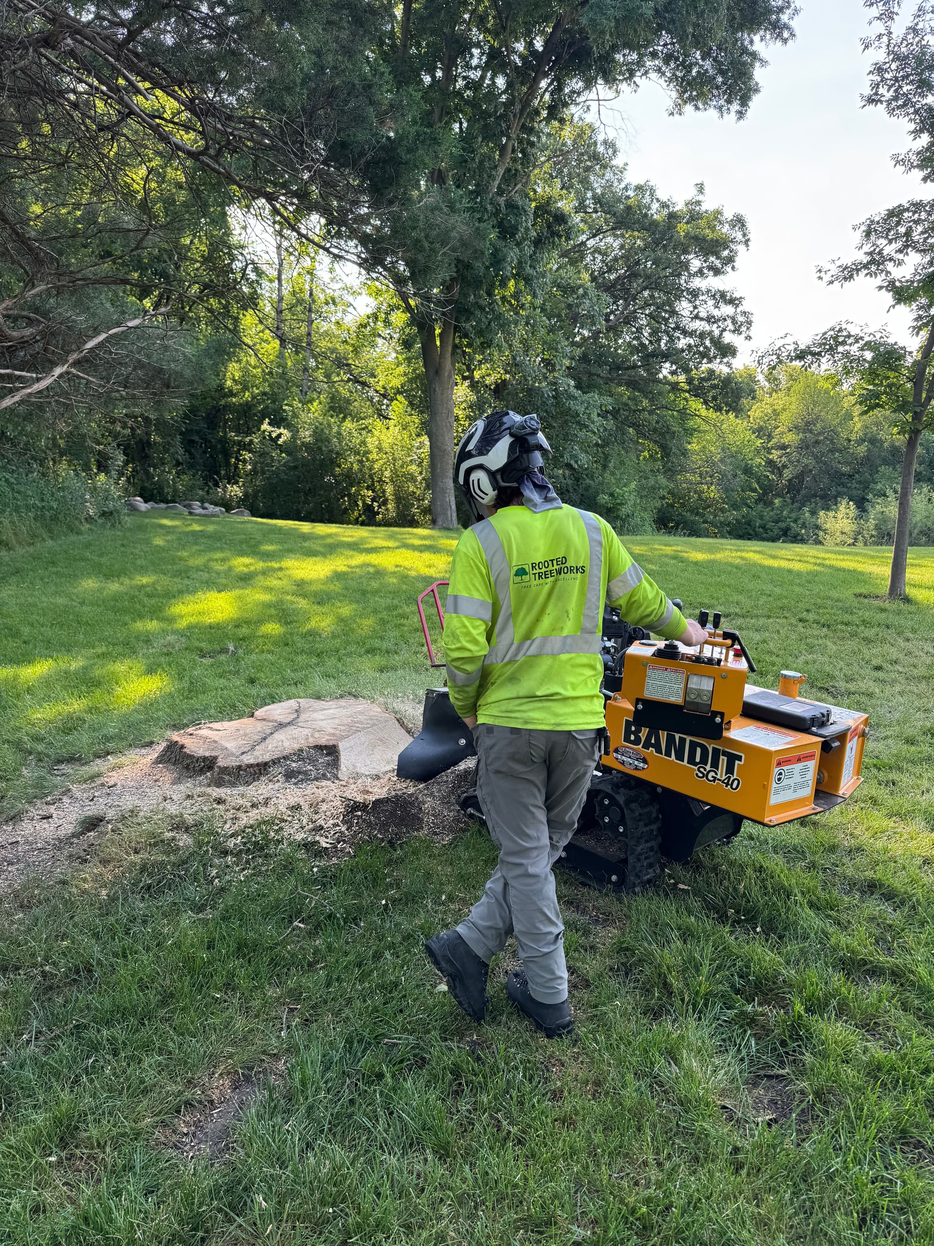 Stump Grinding in Maple Plain image