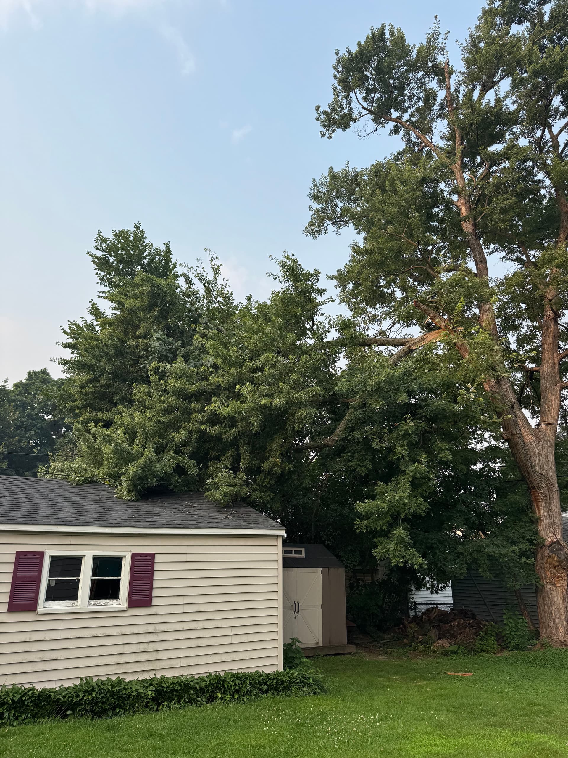 Storm Damage Removal in Richfield image