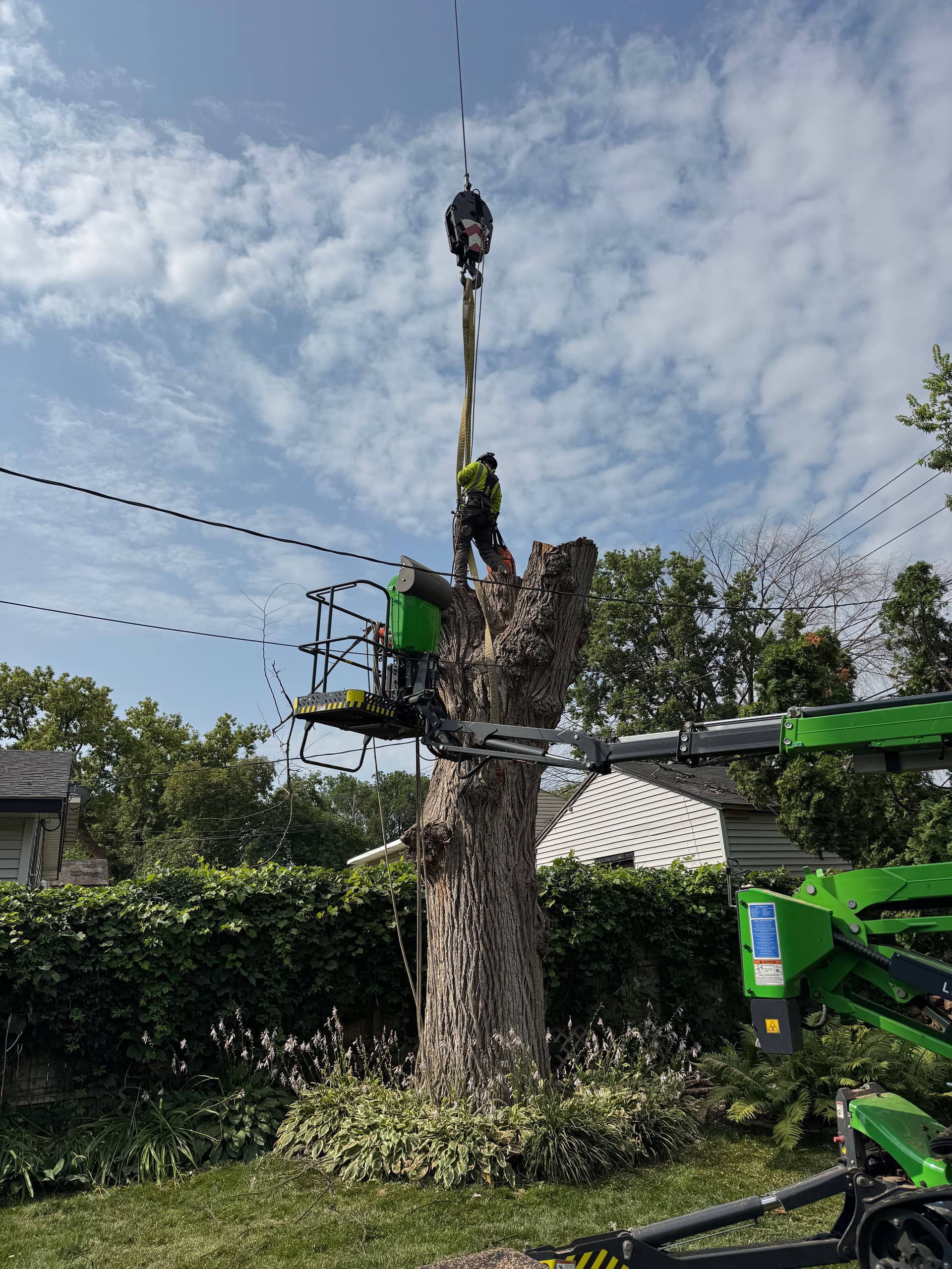 Crane Removal in Minneapolis image