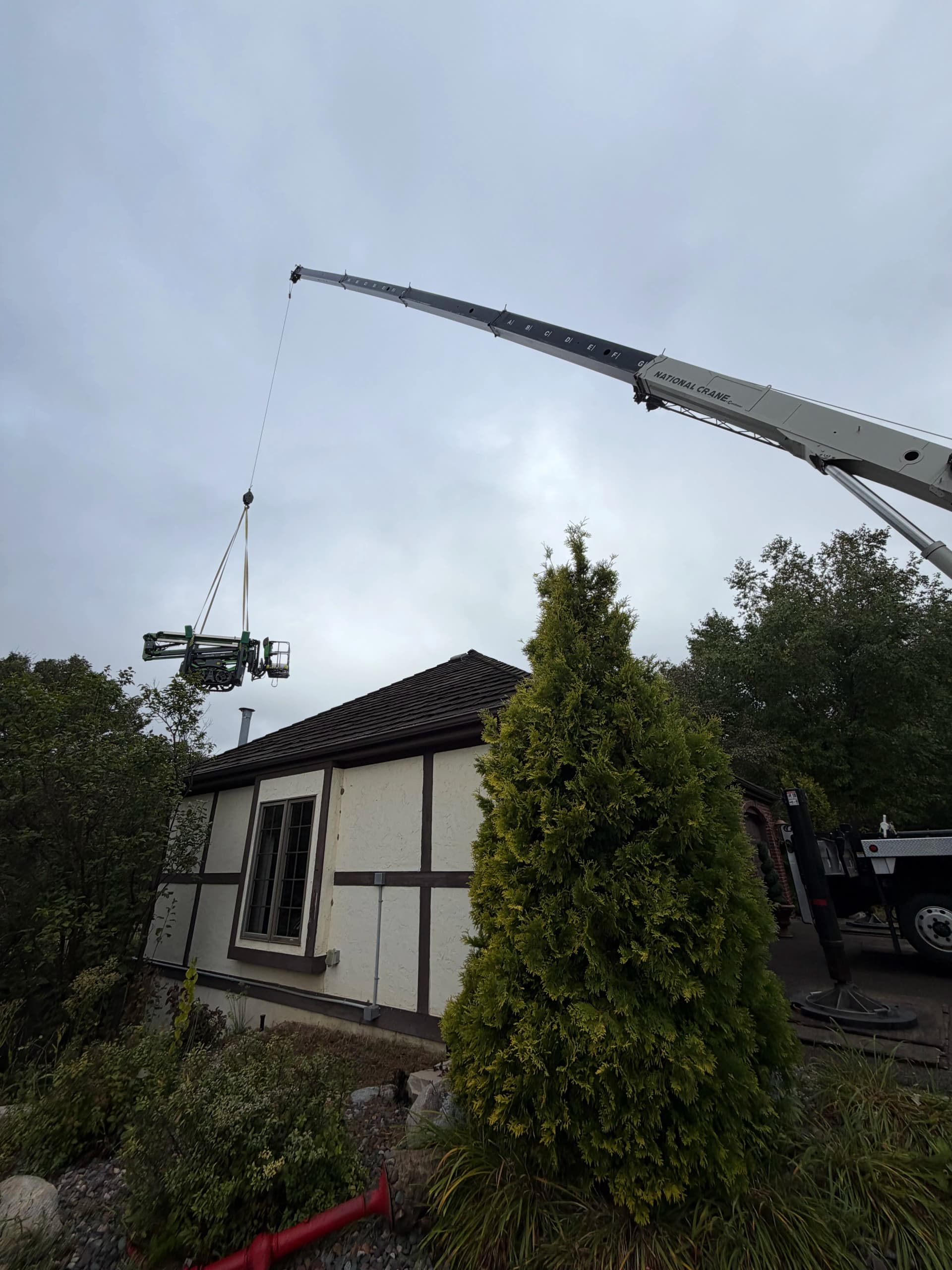 Oak + Locust Pruning, Pine Removal + Stump Grinding in Eden Prairie, MN image