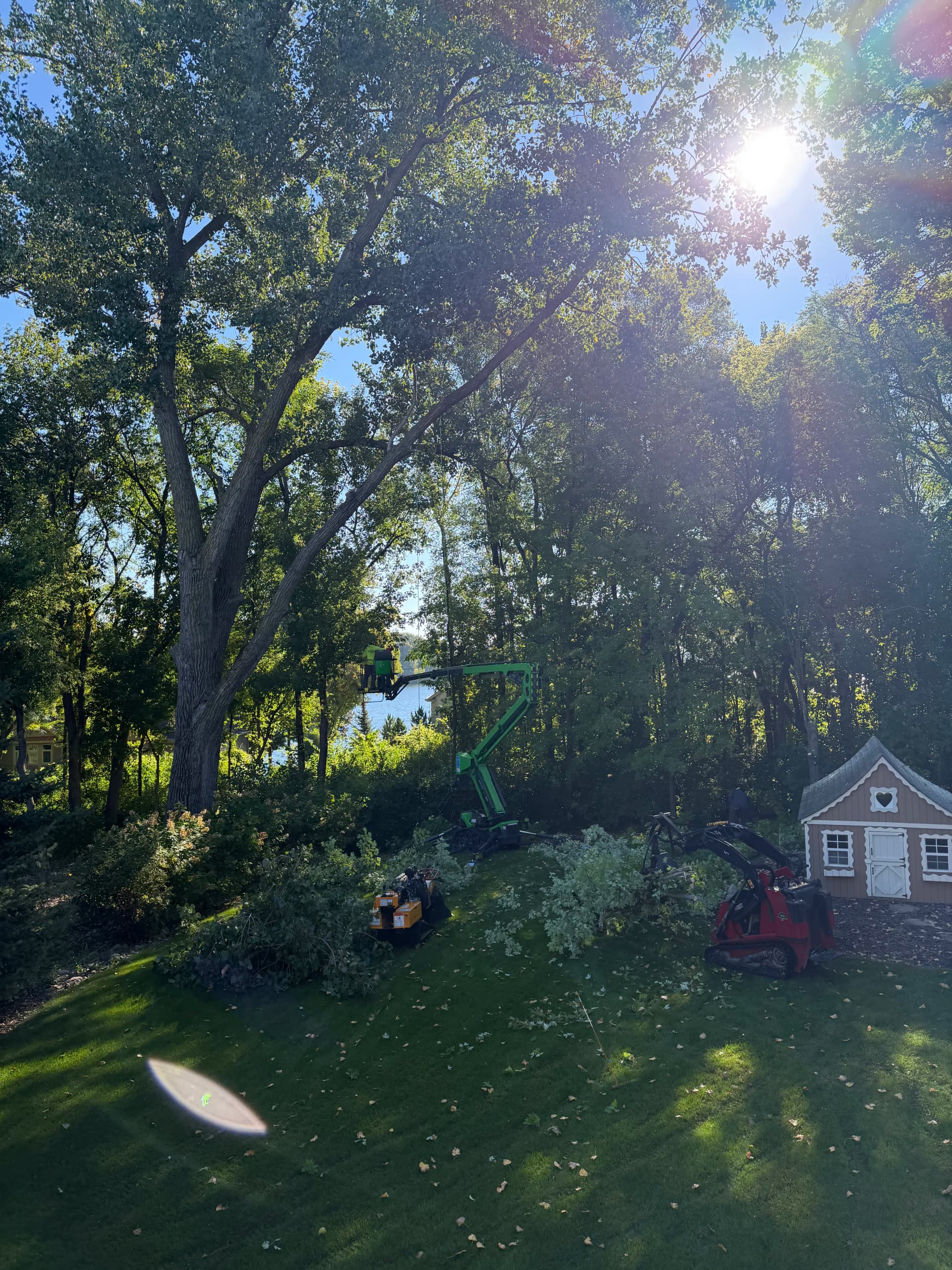 Pruning, Stump Grinding, and Tree Removal in Chanhassen, MN image