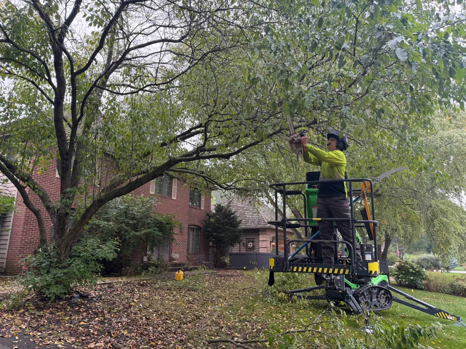 Roof clearance + Pruning in Edina, MN image