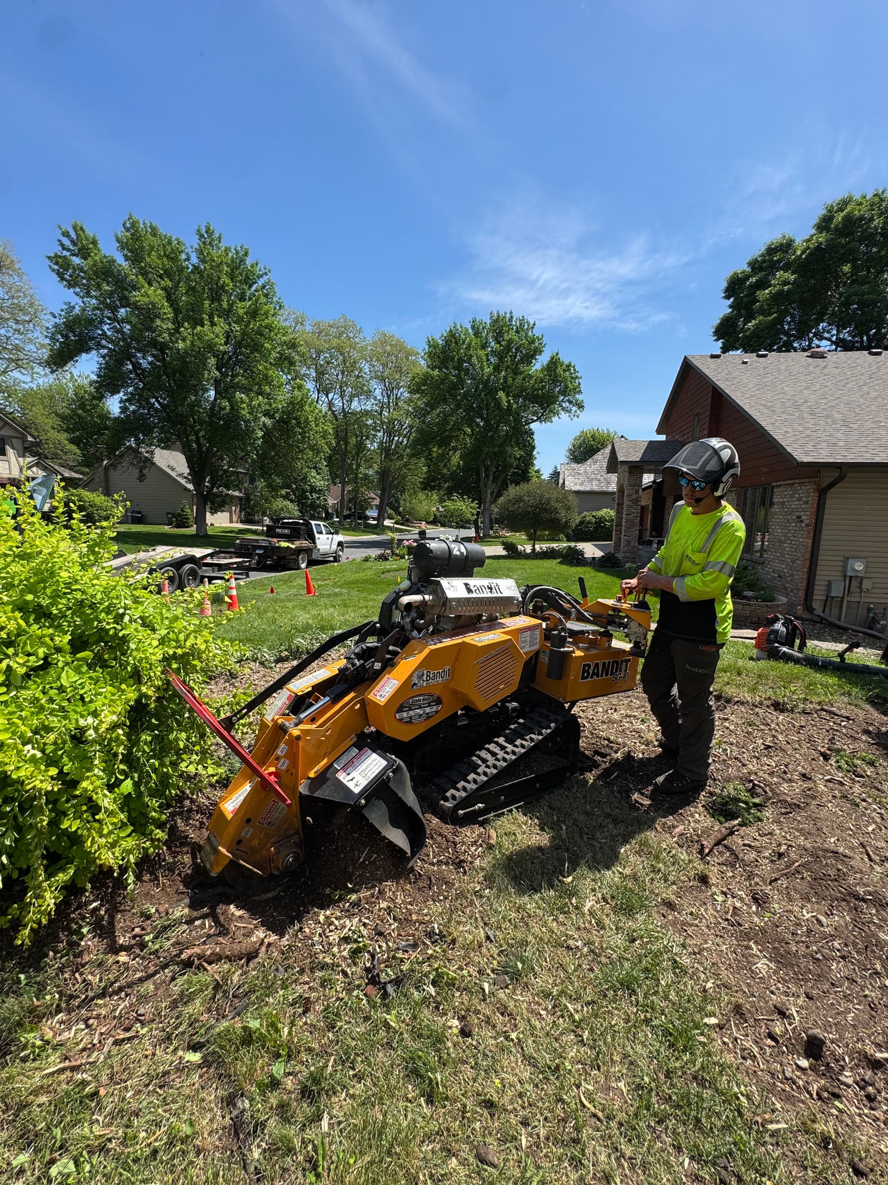 Project Tree Removal and Stump Grinding That Clears the Way image