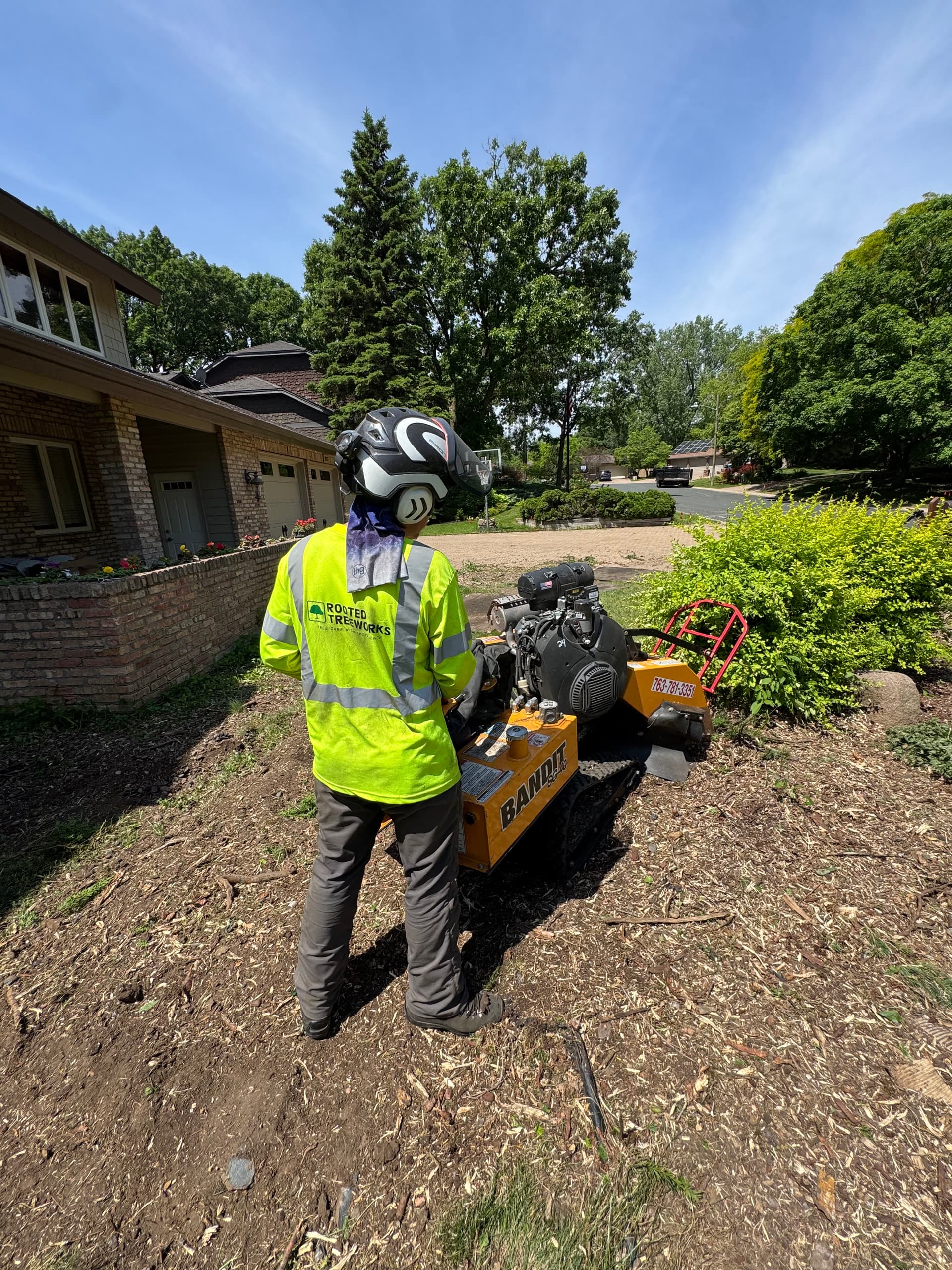 Tree Removal and Stump Grinding That Clears the Way
