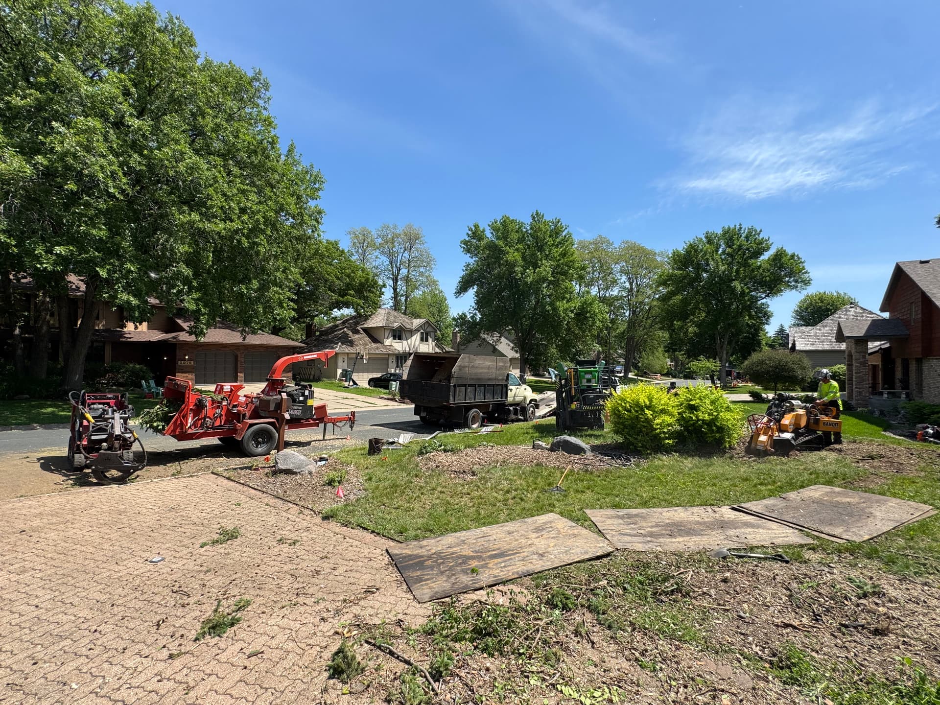 Tree Removal and Stump Grinding That Clears the Way