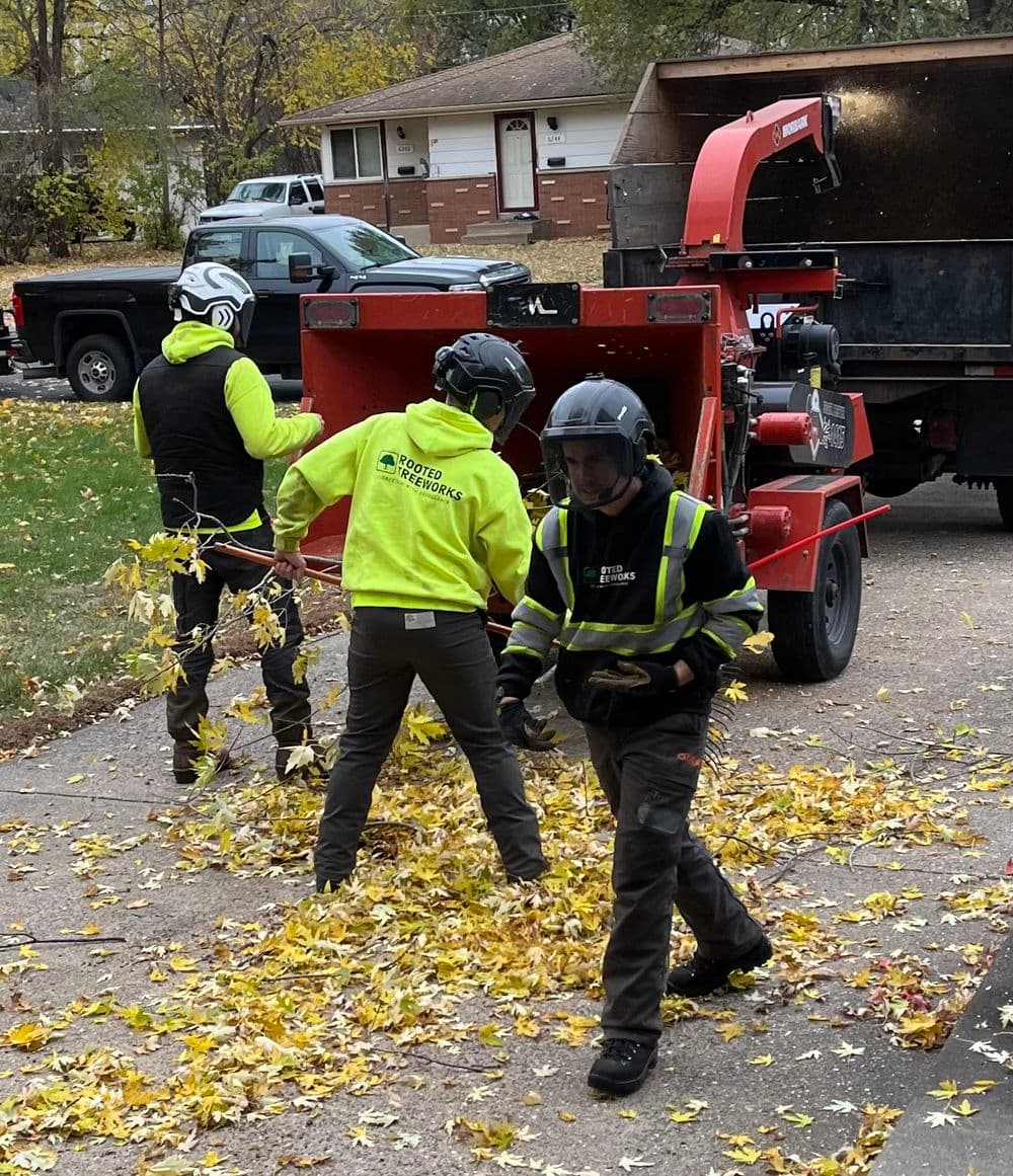 Workers in safety gear using a leaf blower and chipper to clear autumn leaves from a driveway.