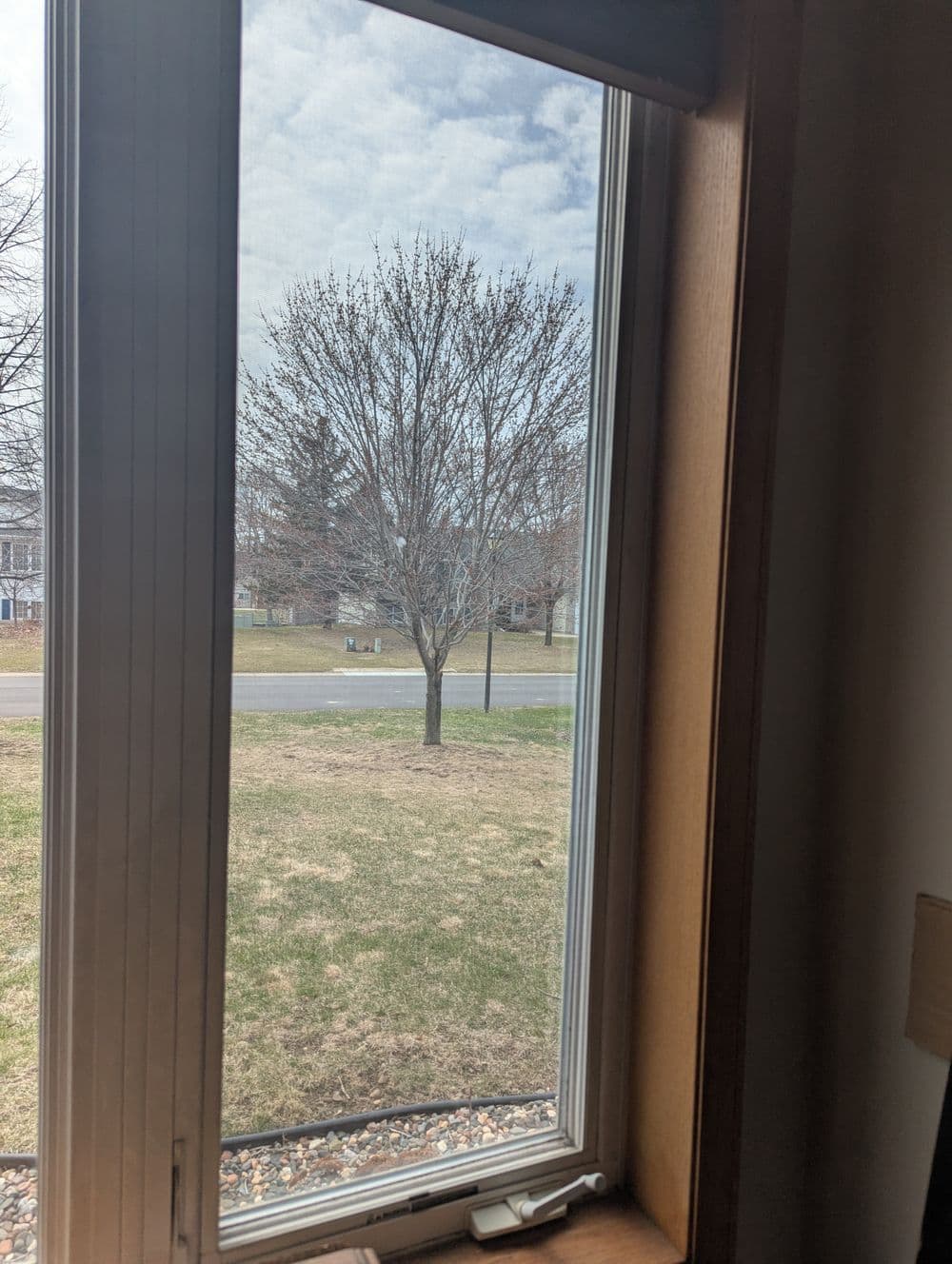 View from a window showing a cloudy sky and a bare tree in a grassy yard.