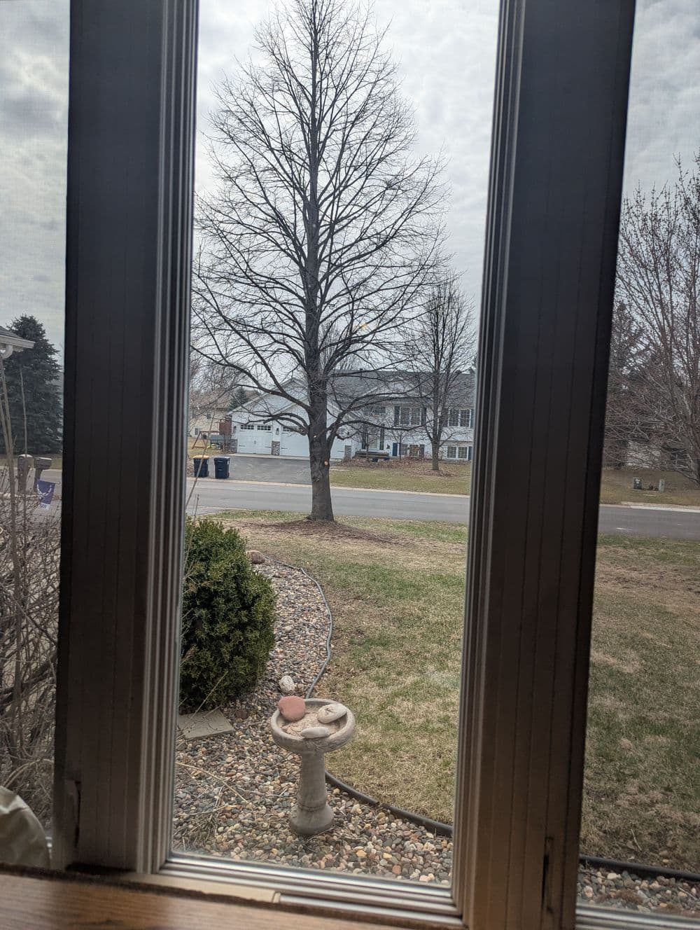 View from a window featuring a bare tree, birdbath, and suburban landscape.