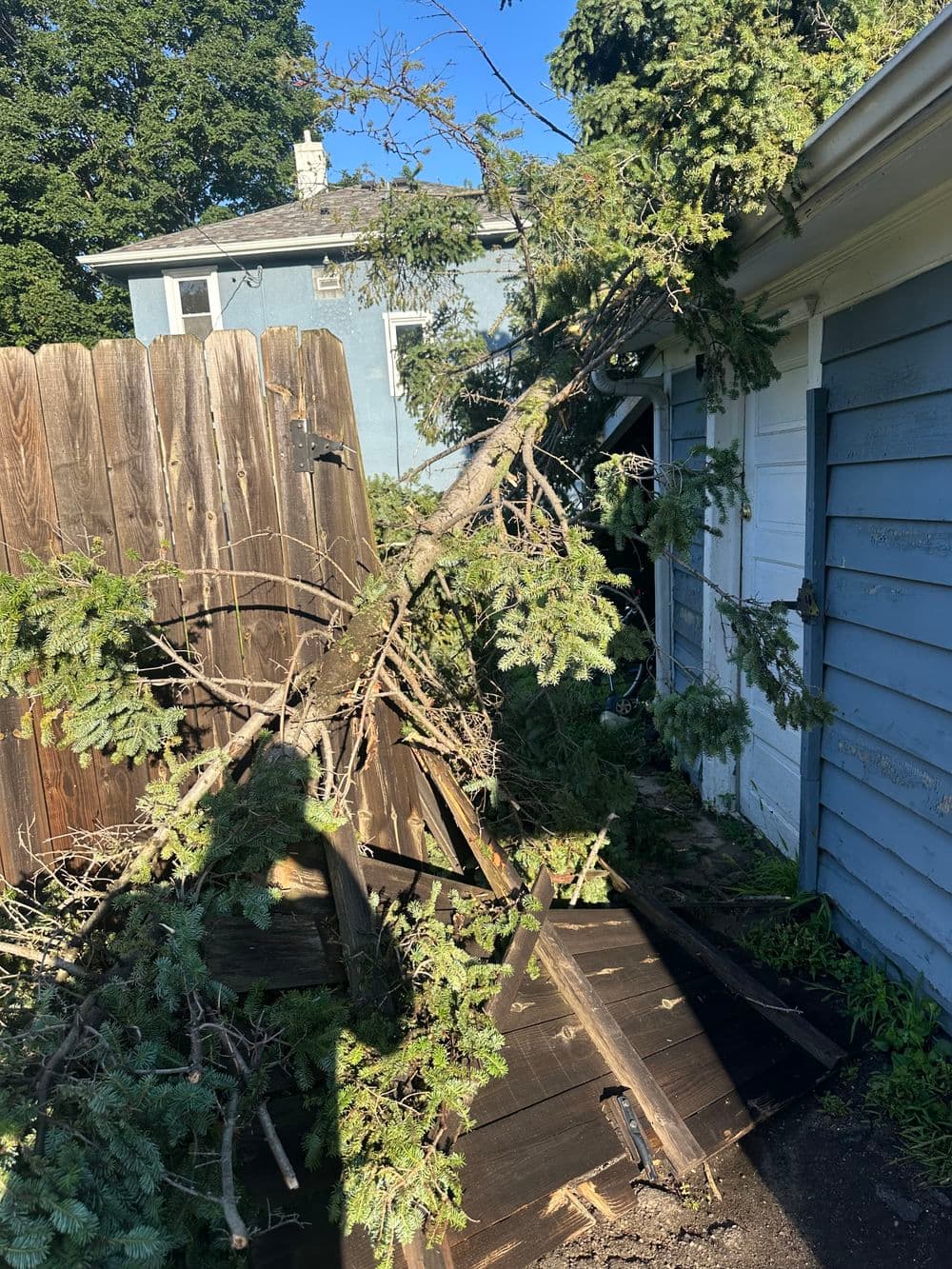 Fallen tree branches damaging wooden fence and property in residential area.