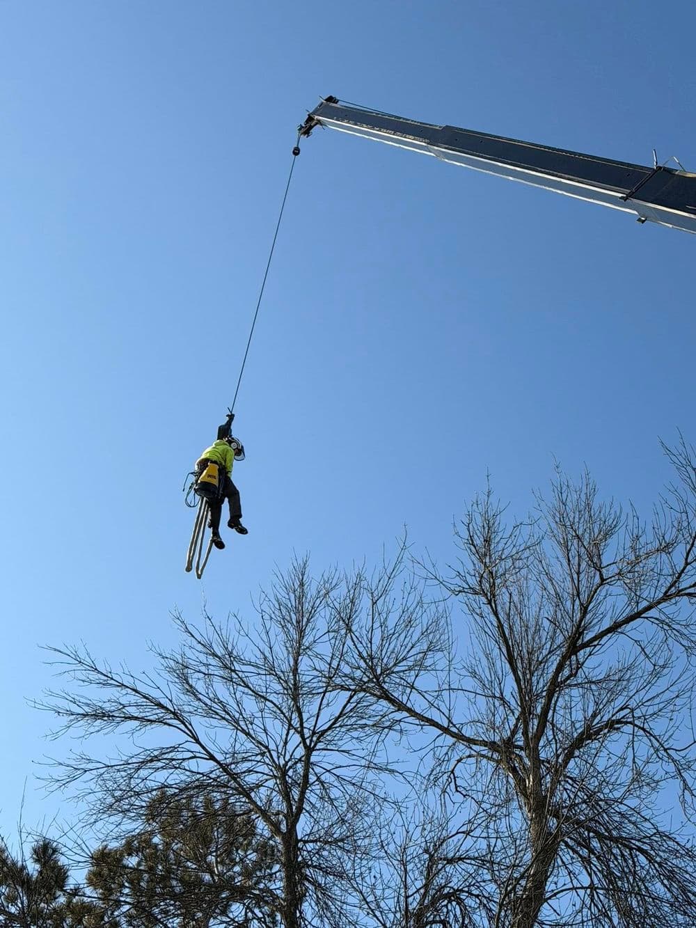 Worker in harness suspended from crane, trimming trees against a clear blue sky.