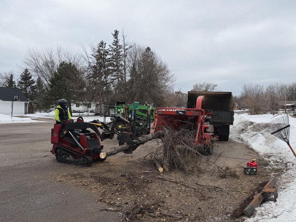 Tree removal operation with equipment on snow-covered street, winter scene.