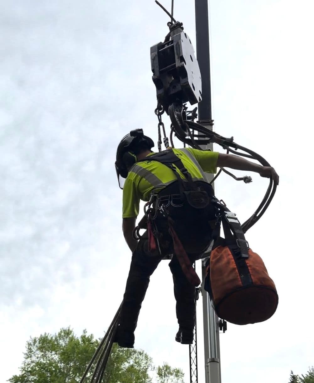 Project Crane Removal of a Large Silver Maple in Roseville image