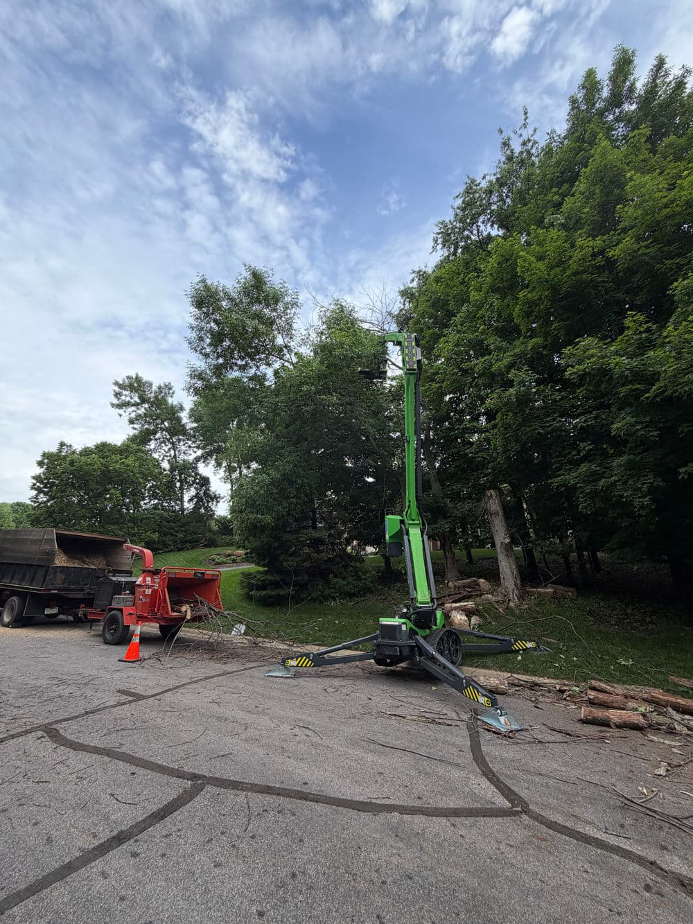 Gallery photos for 3 Dead Tree Removals in Excelsior With Minimal Property Impact: Image #1