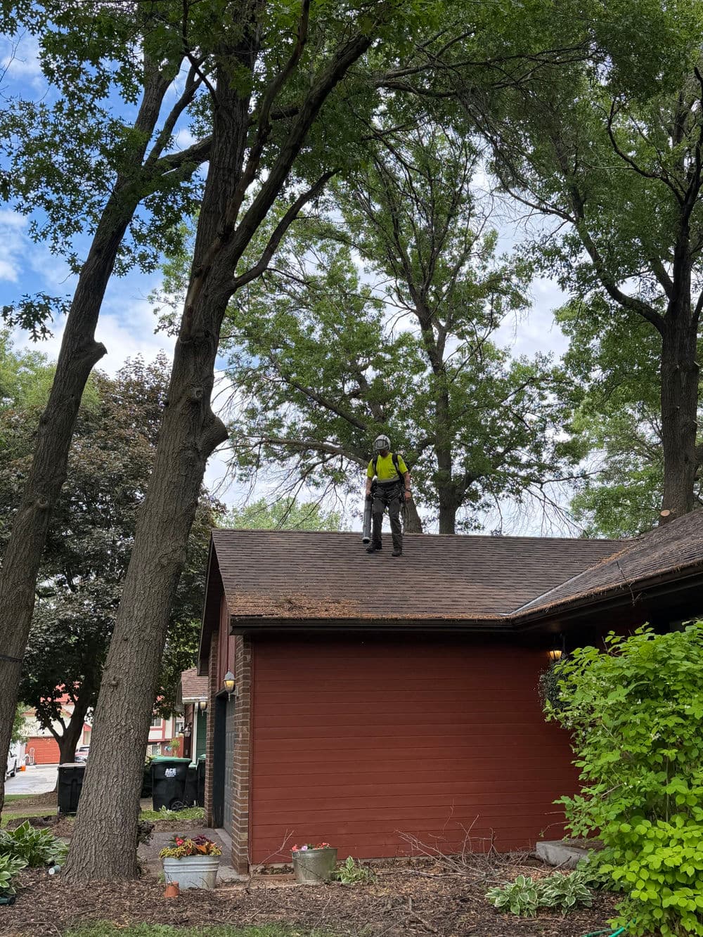 Gallery photos for Dead Oak Tree Removal Over a Home in Circle Pines: Image #2
