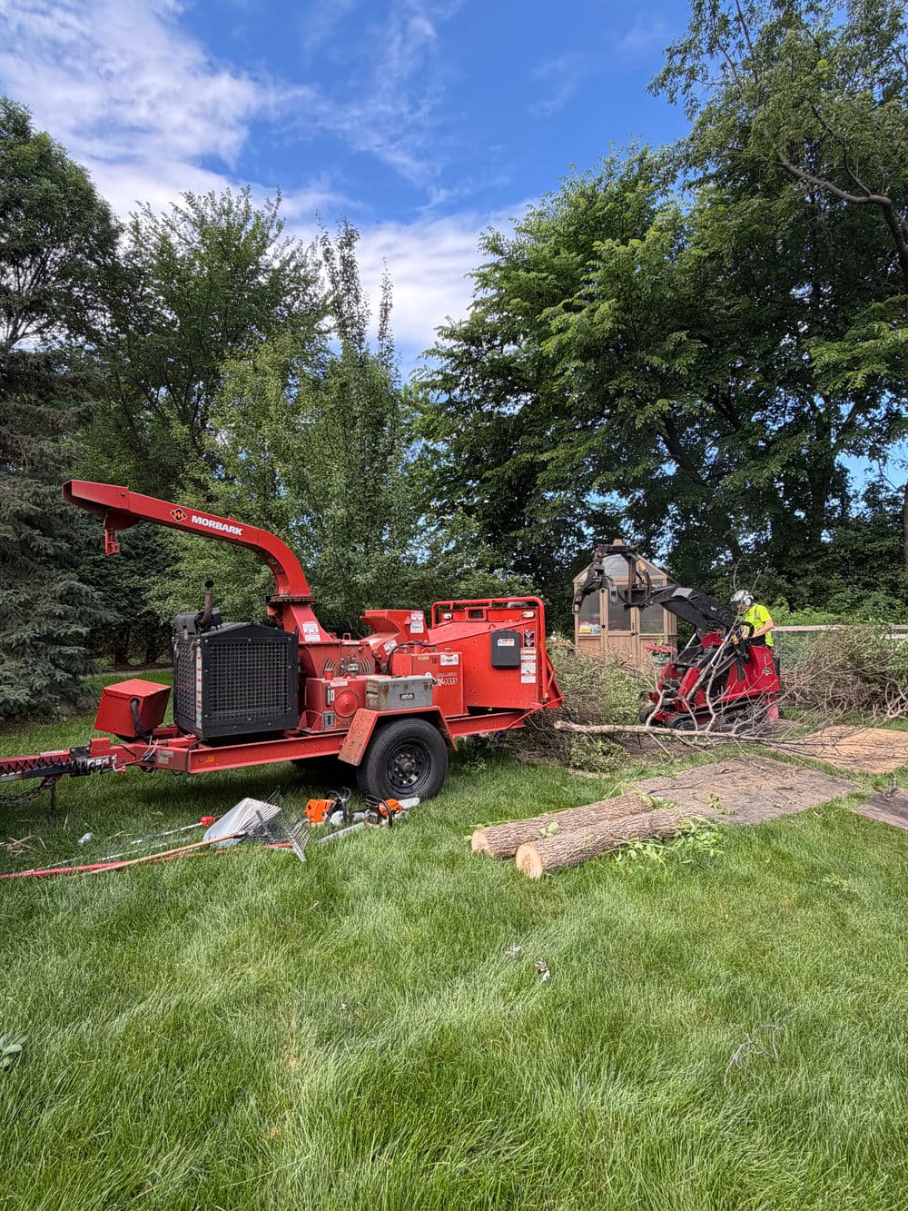 Gallery photos for Diseased Ash Tree Removal and Shrub Pruning in Shorewood MN: Image #1