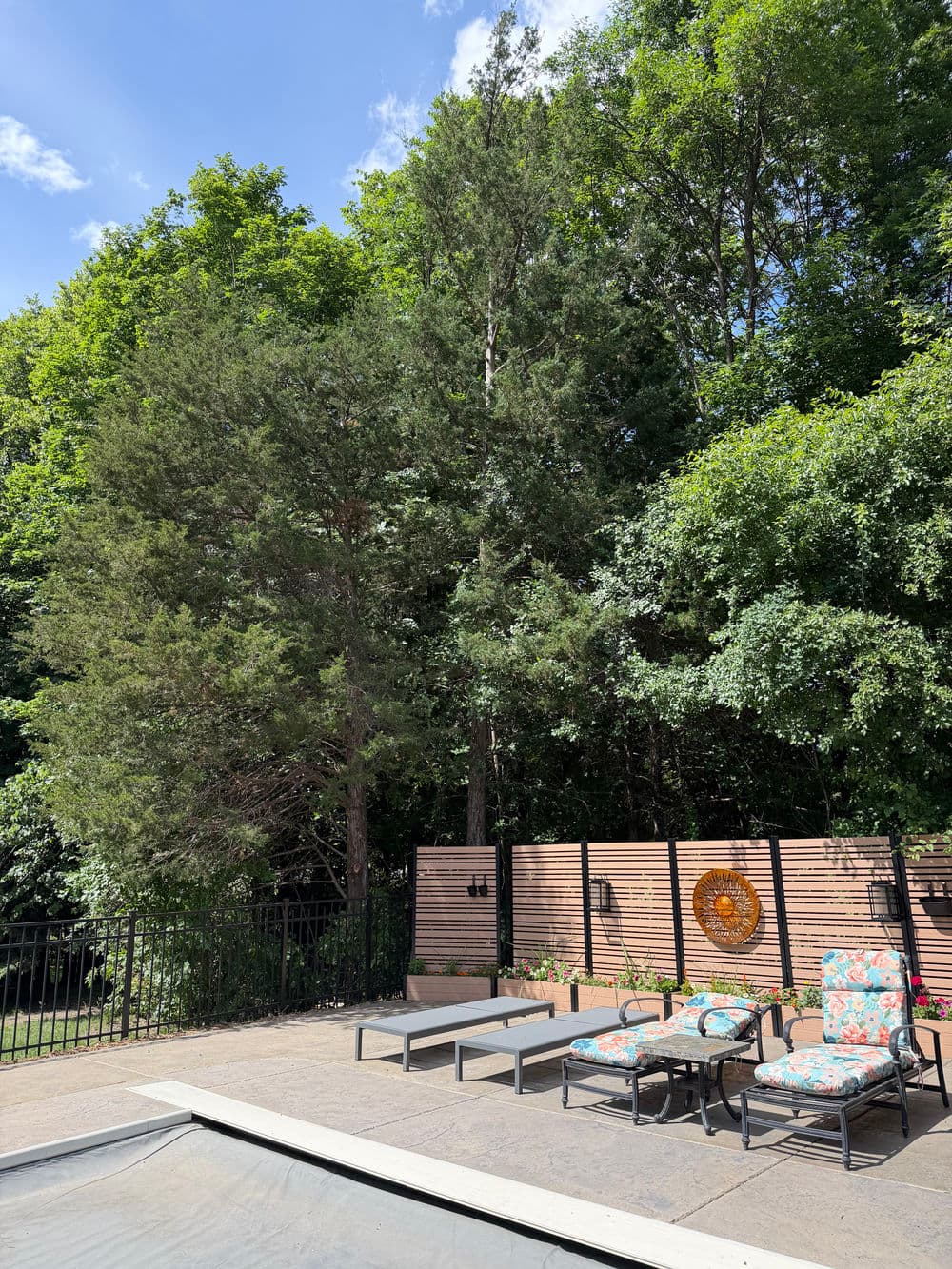 Gallery photos for Diseased Ash Tree Removal and Shrub Pruning in Shorewood MN: Image #3