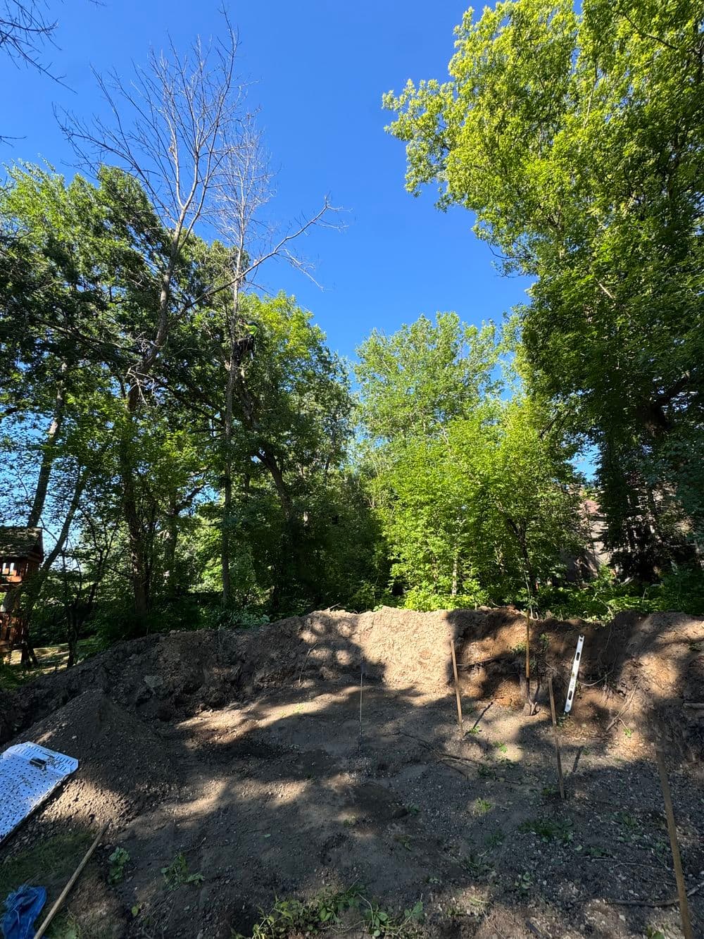Dead Ash Trees and Buckthorn Cleared in Vadnais Heights image