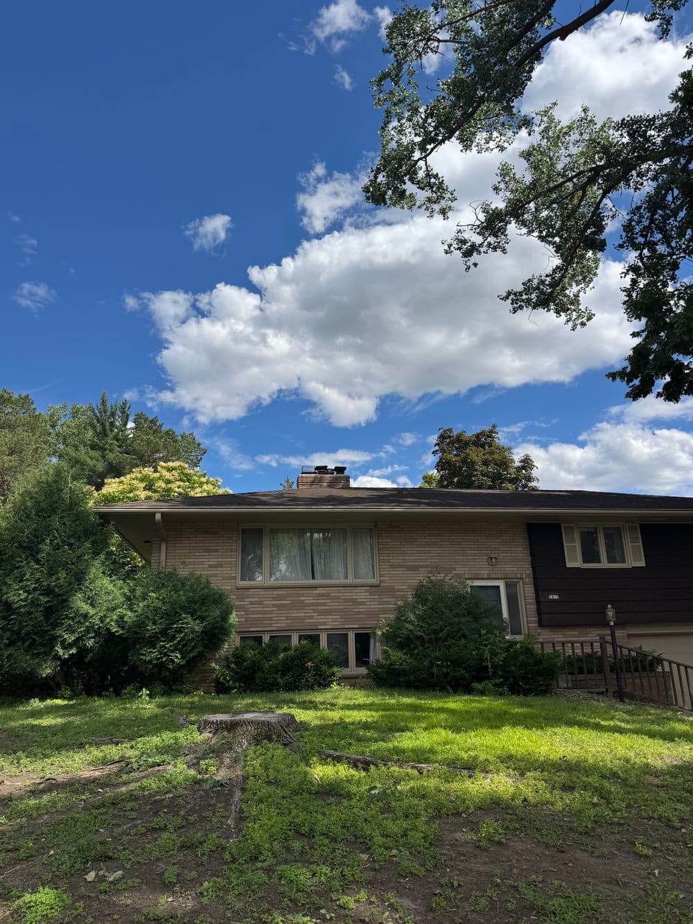 Gallery photos for Storm-Damaged Cottonwood Removal in Minneapolis: Image #1