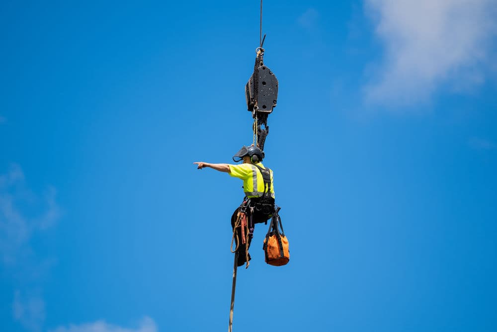 Massive Silver Maple Crane Removal in Roseville image