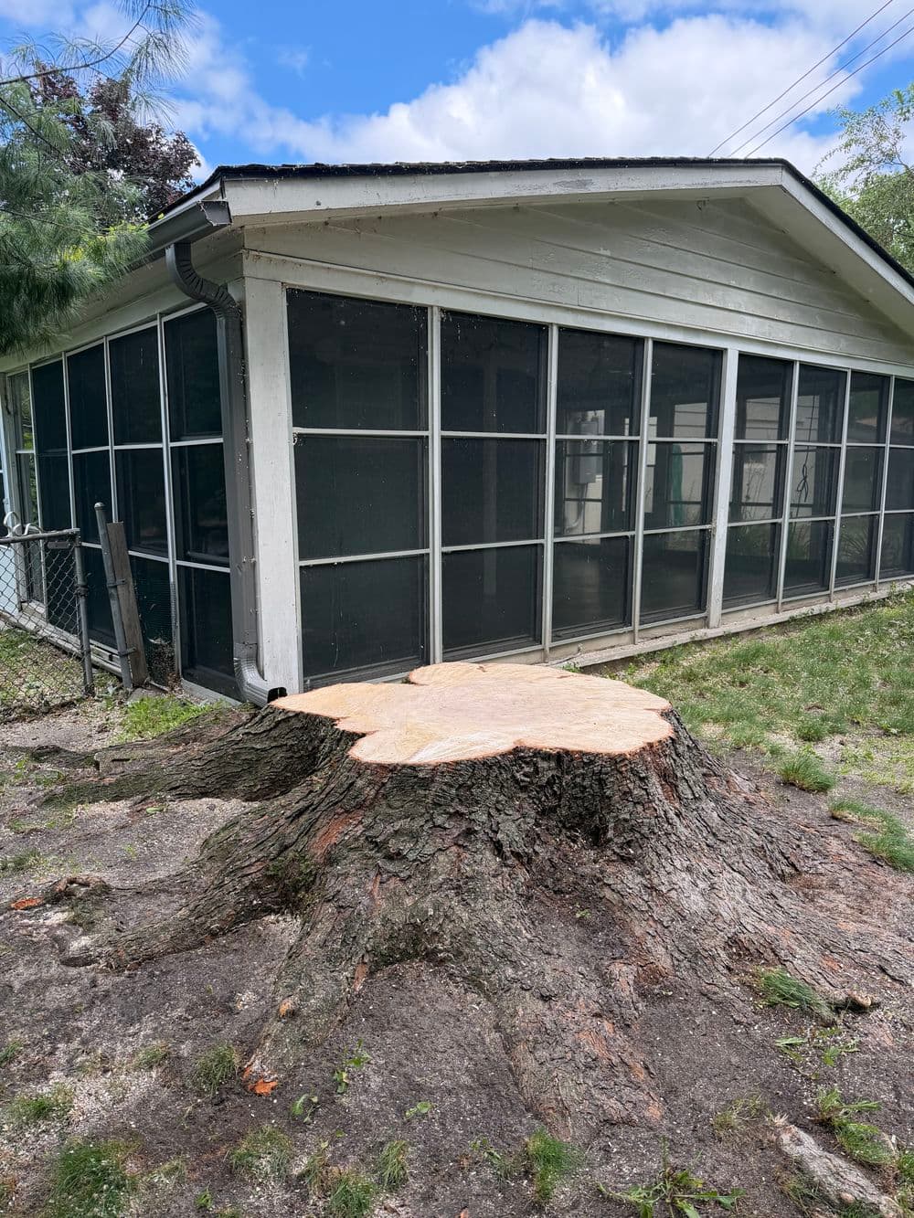 Gallery photos for Massive Silver Maple Crane Removal in Roseville: Image #1