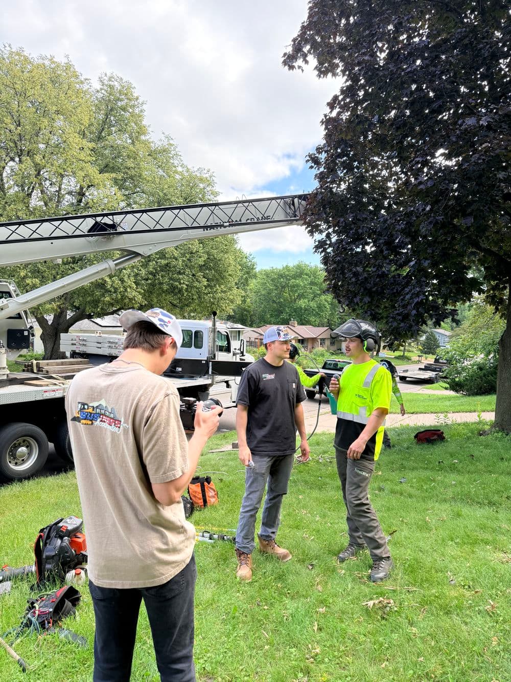 Gallery photos for Massive Silver Maple Crane Removal in Roseville: Image #2