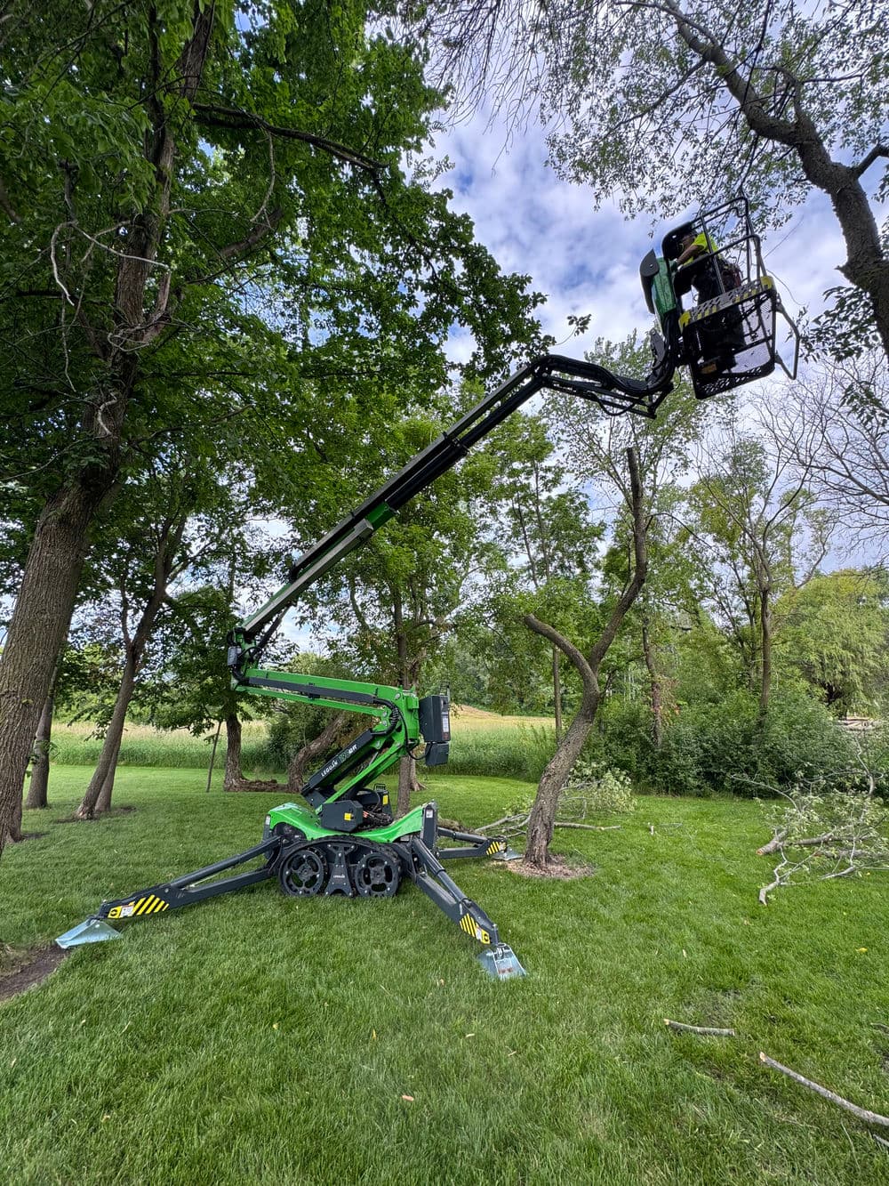 Gallery photos for Decayed Ash Tree and Hazard Removal Near Pool in Maple Plain: Image #1