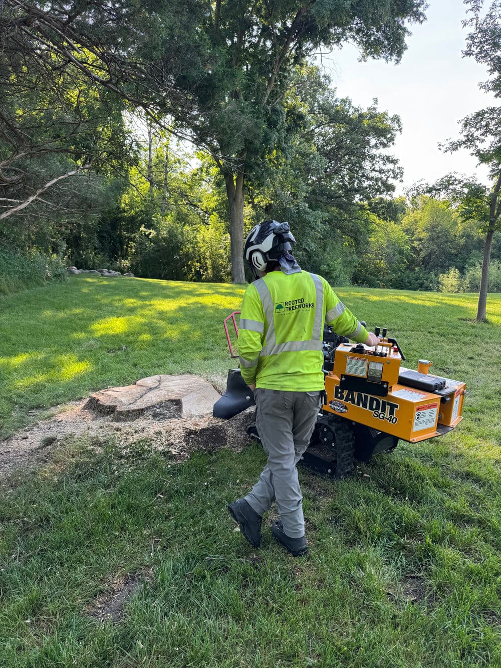 Project Stump Grinding Done Right in Maple Plain image