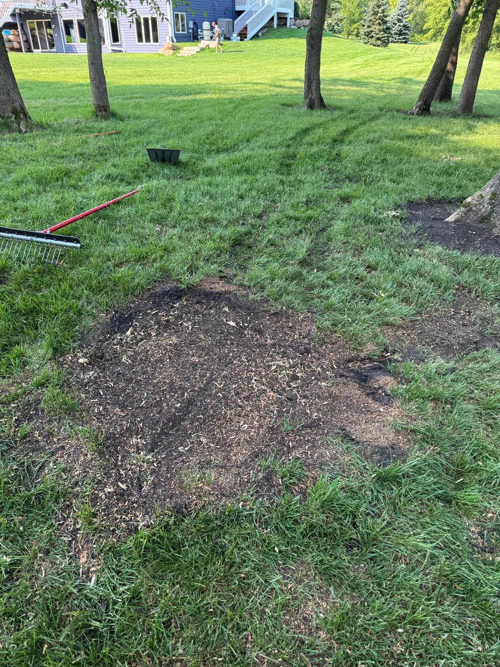 Gallery photos for Stump Grinding Done Right in Maple Plain: Image #1