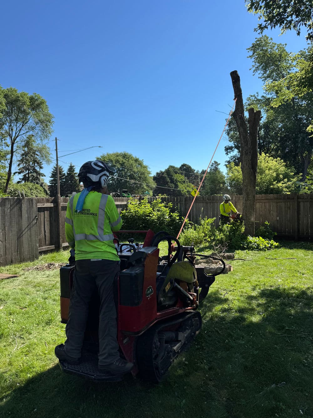 Project Dead Ash Tree Removal in a Tight Coon Rapids Backyard image