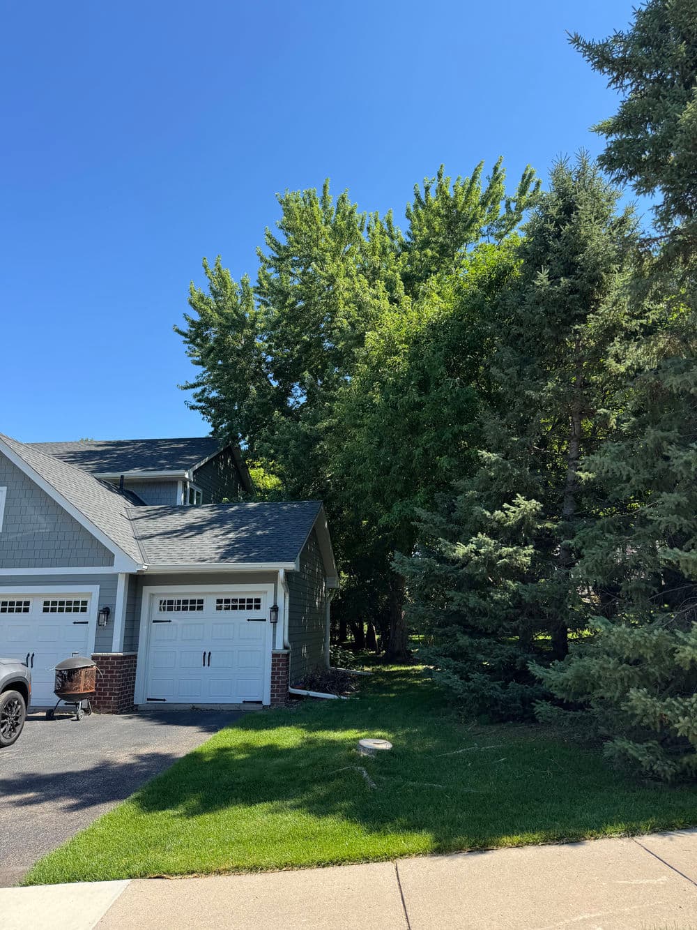 Gallery photos for Dead Tree Removal Done Right in Maple Grove: Image #3