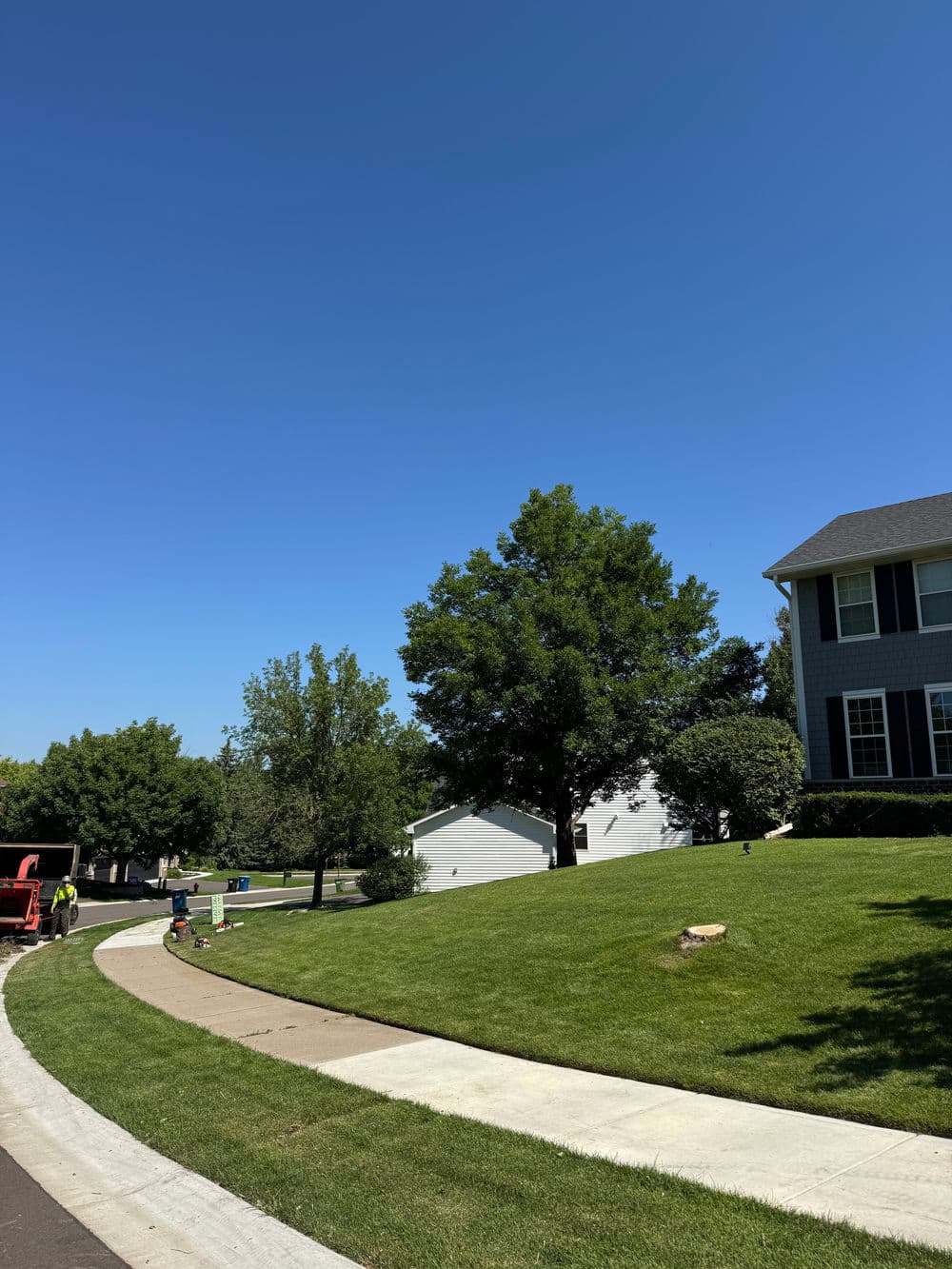 Gallery photos for Dead Tree Removal Done Right in Maple Grove: Image #4