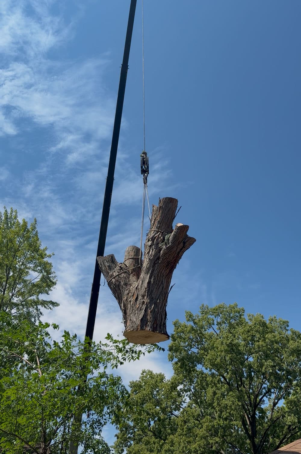 Crane Removal of a Massive Backyard Silver Maple in Minneapolis image