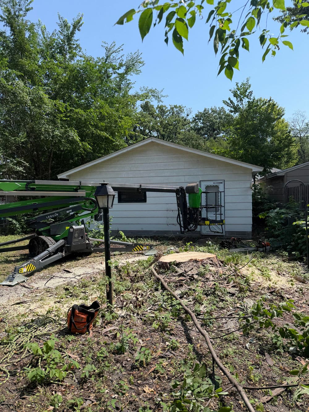 Gallery photos for Crane Removal of a Massive Backyard Silver Maple in Minneapolis: Image #1