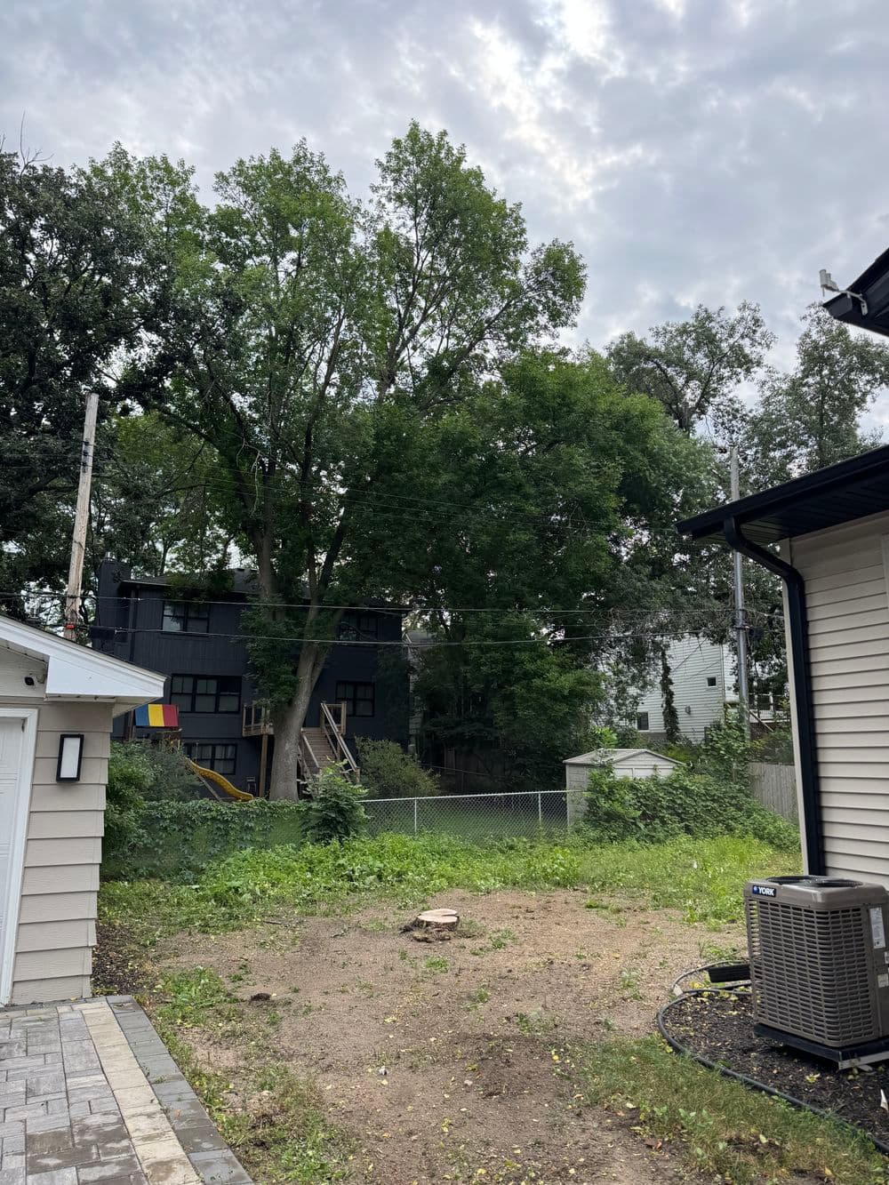 Gallery photos for River Birch Tree Removal in Edina: Image #1