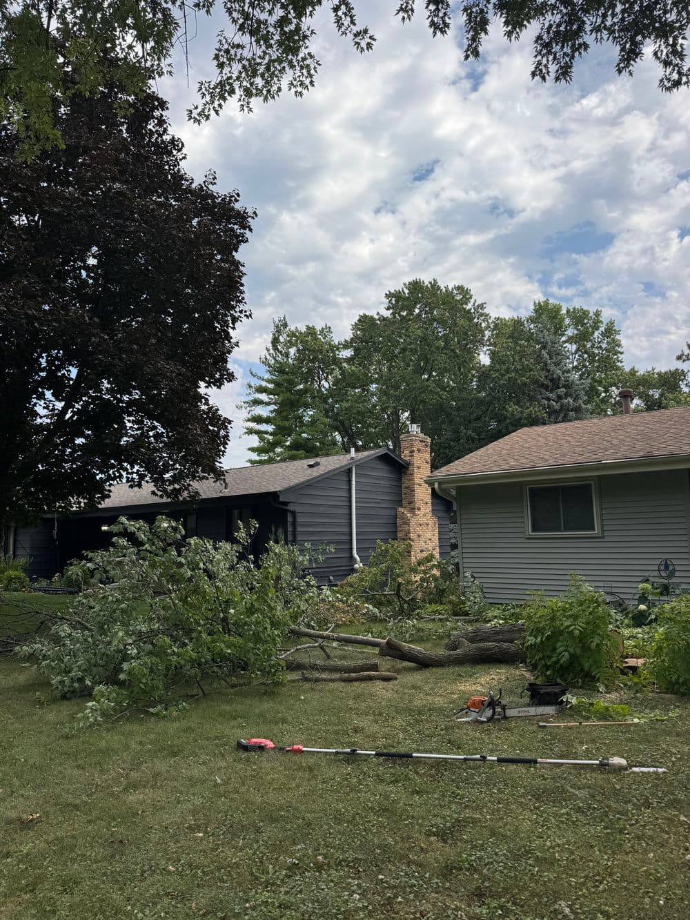 Gallery photos for Rotten Maple Removal and Silver Maple Canopy Pruning in Minneapolis: Image #1