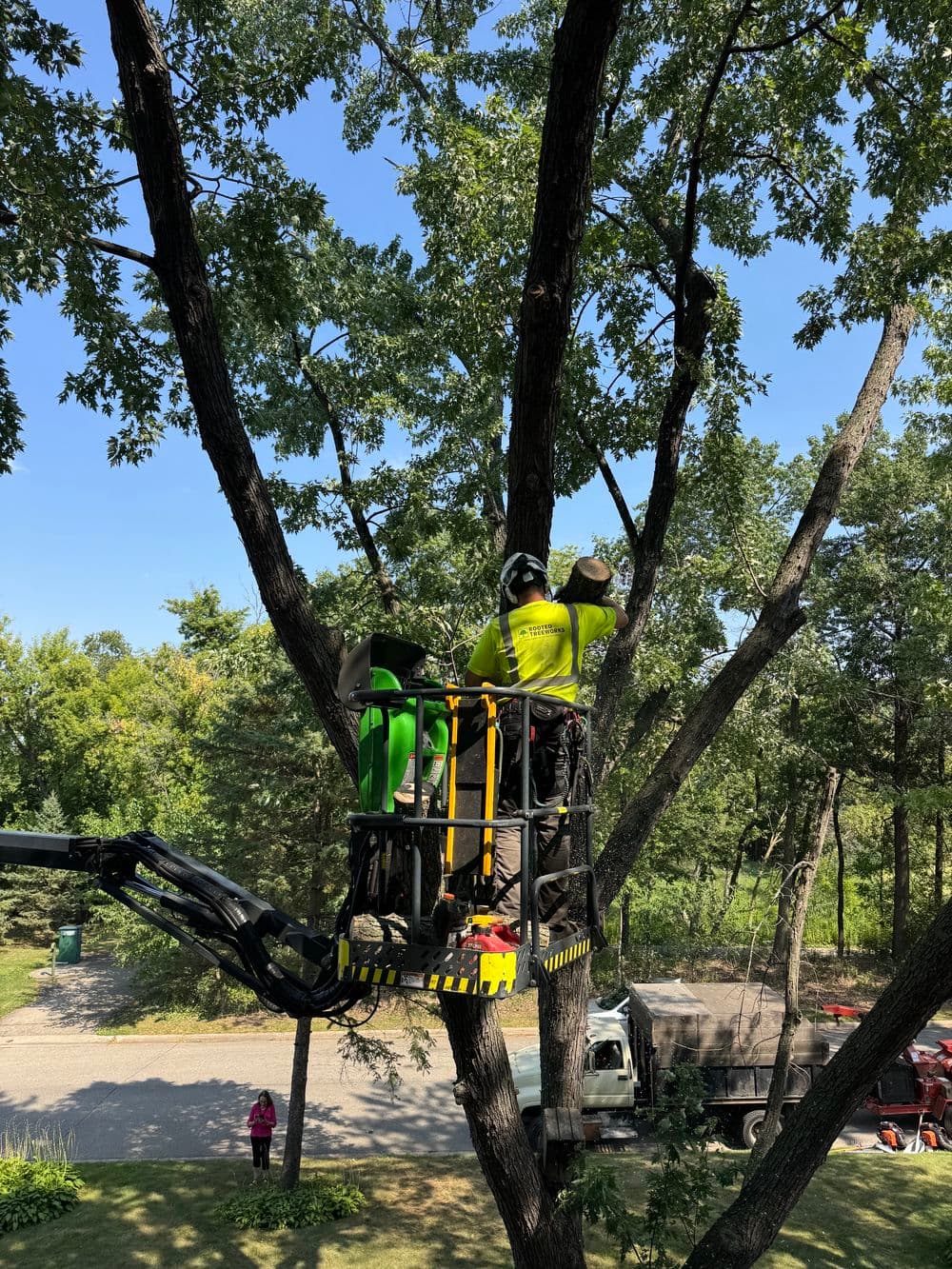 Large Limb Removal Over a Roofline in Edina image