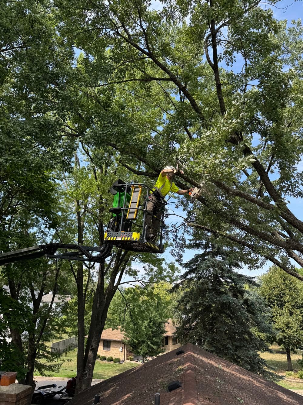 Gallery photos for Large Limb Removal Over a Roofline in Edina: Image #1