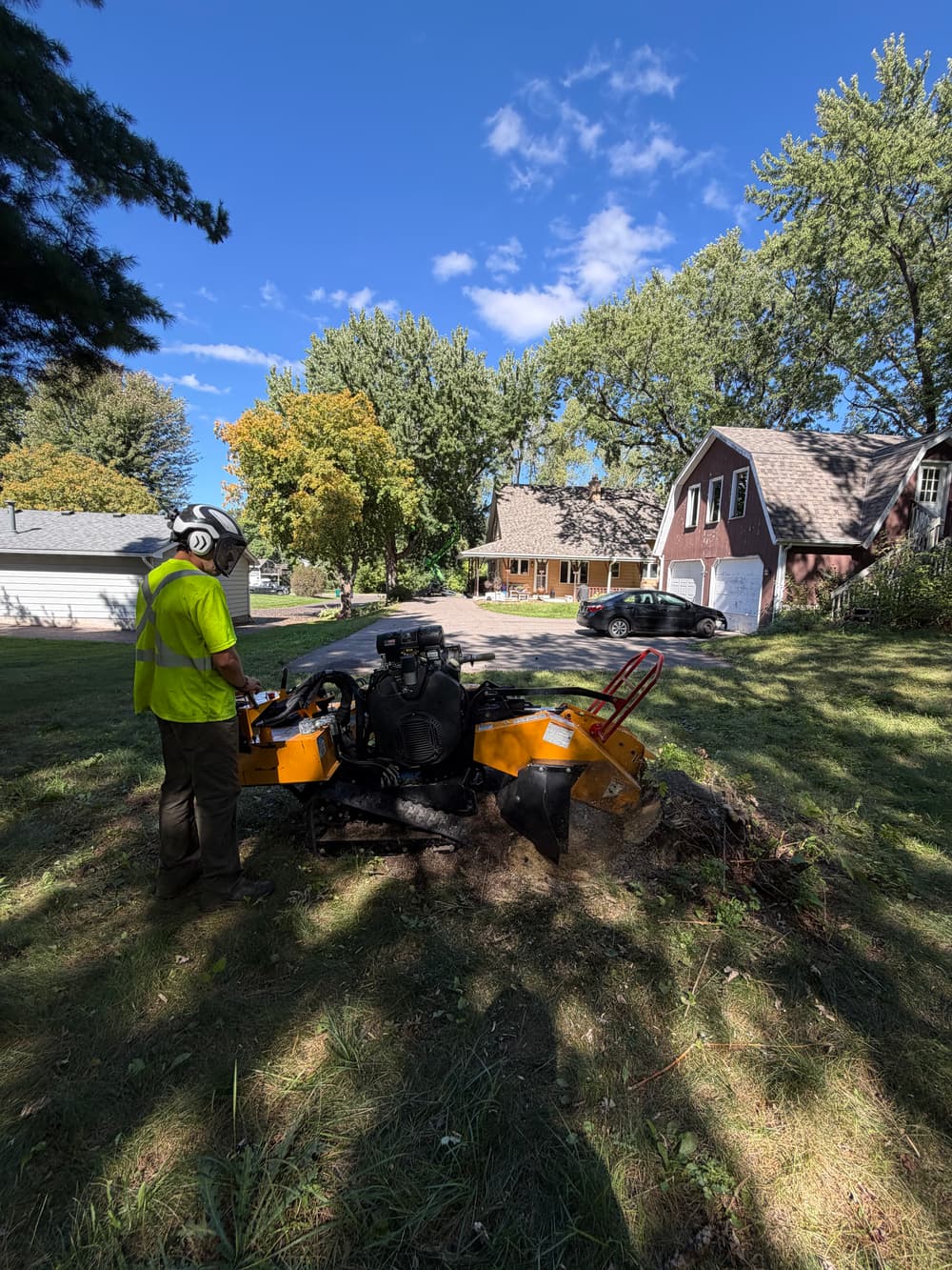 Gallery photos for Silver Maple Pruning and Stump Grinding in Roseville: Image #4