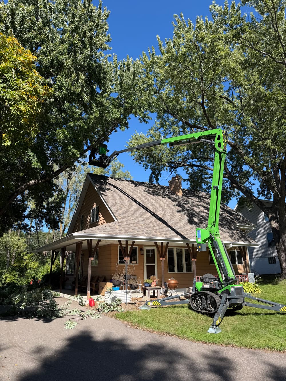Gallery photos for Silver Maple Pruning and Stump Grinding in Roseville: Image #3