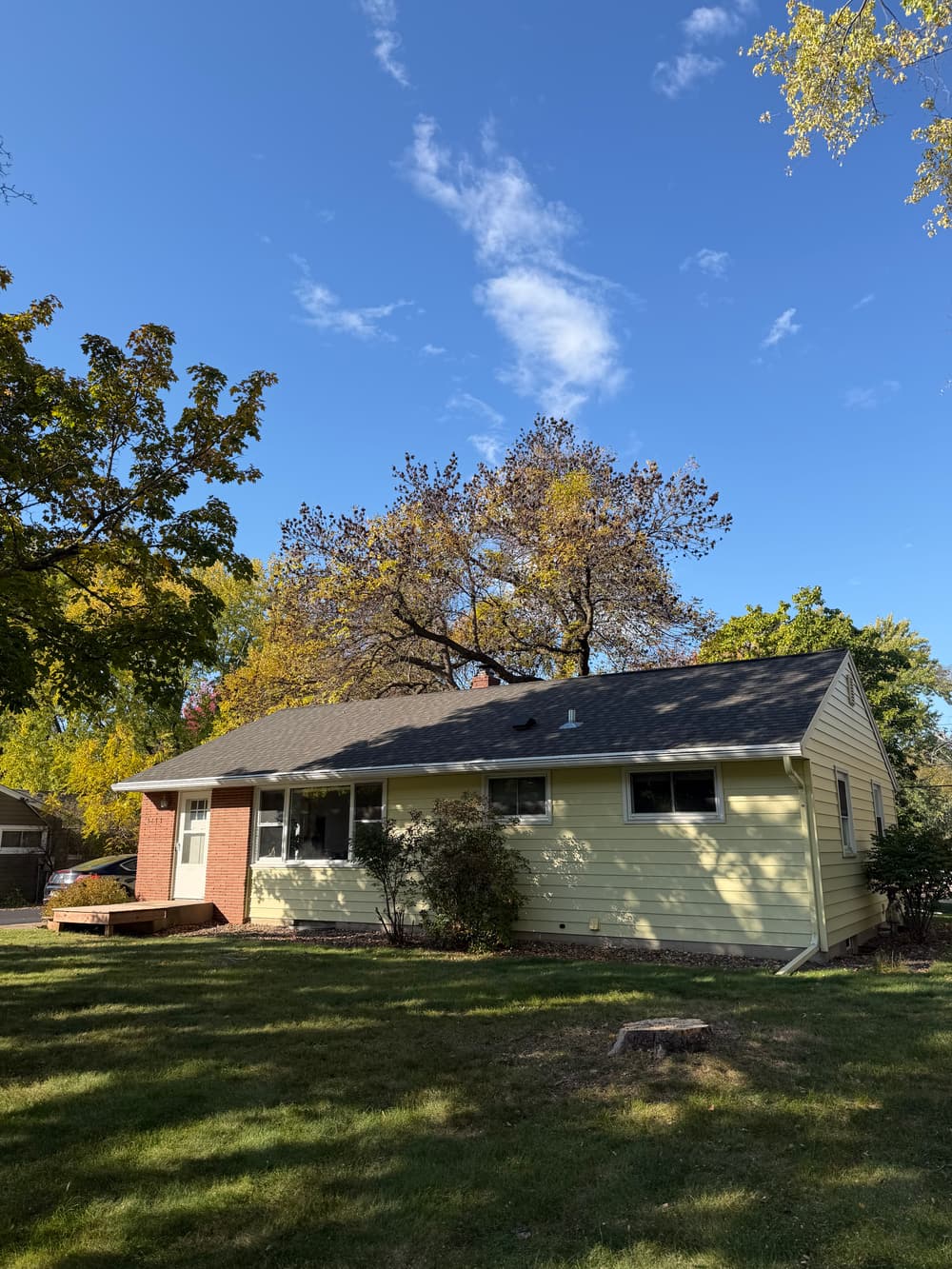 Gallery photos for Dead Spruce Tree Removal in White Bear Lake: Image #1