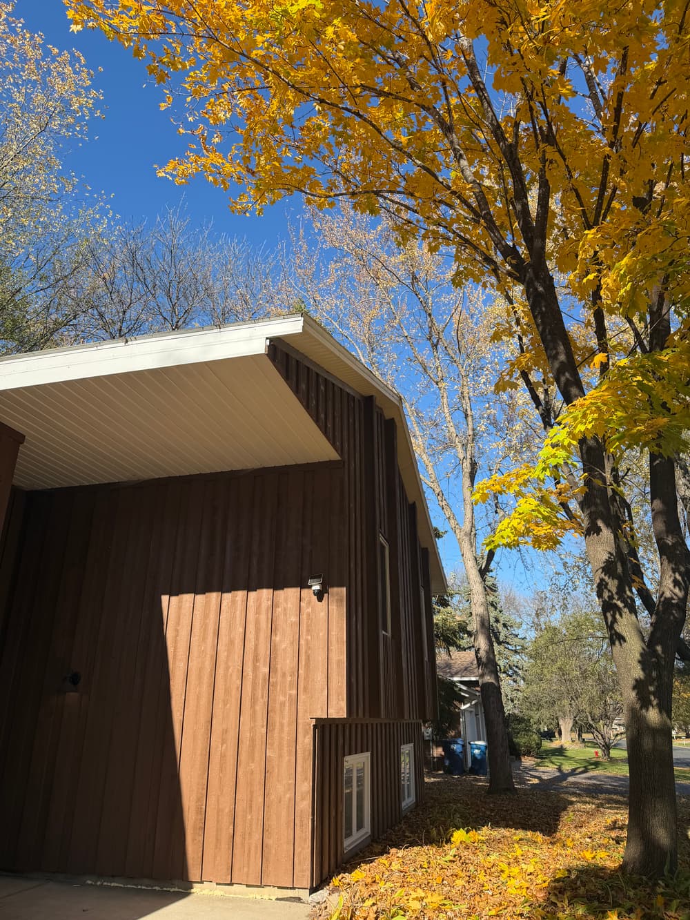 Gallery photos for Dead Tree Removal and Roof Clearance Pruning in Maple Grove, MN: Image #2