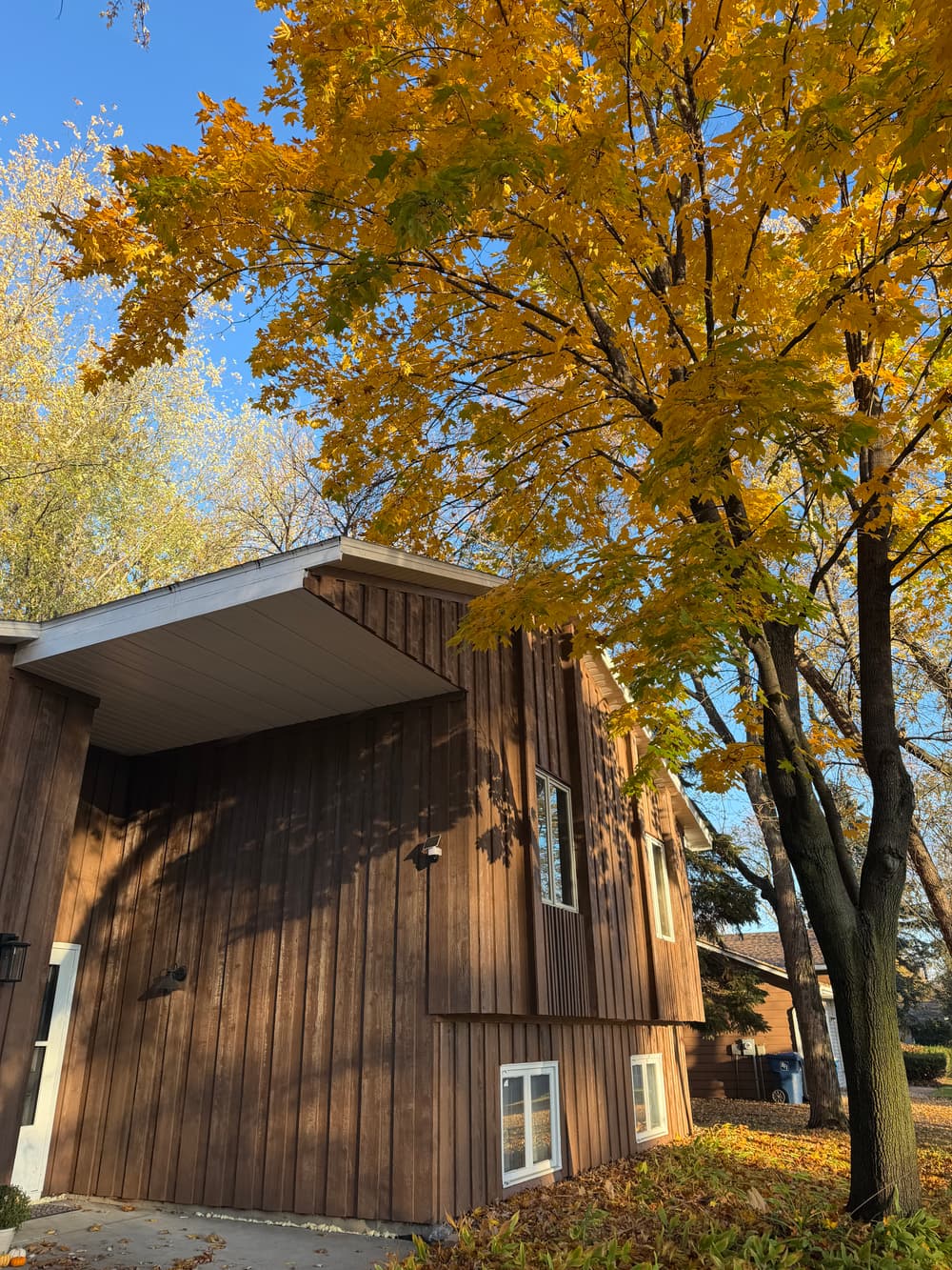 Gallery photos for Dead Tree Removal and Roof Clearance Pruning in Maple Grove, MN: Image #3