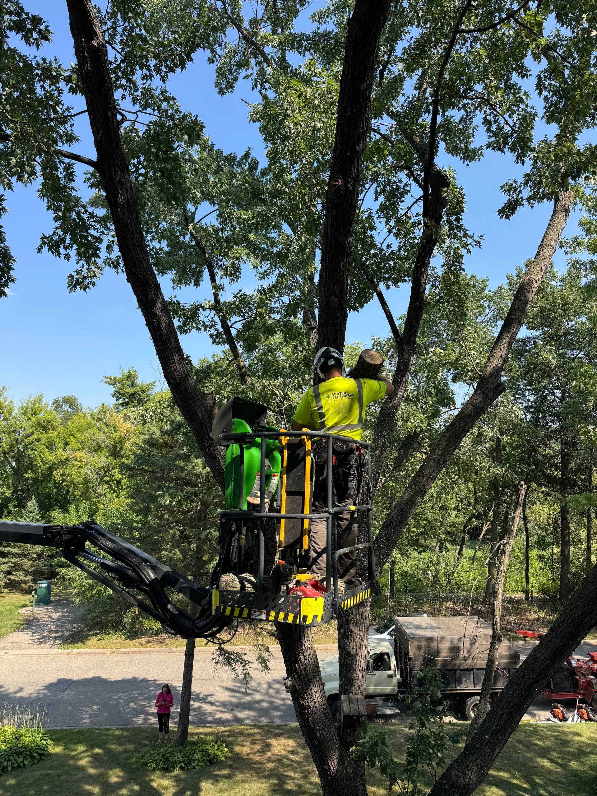 Removal of Two Hazard Limbs Over the Roof of Edina Home image
