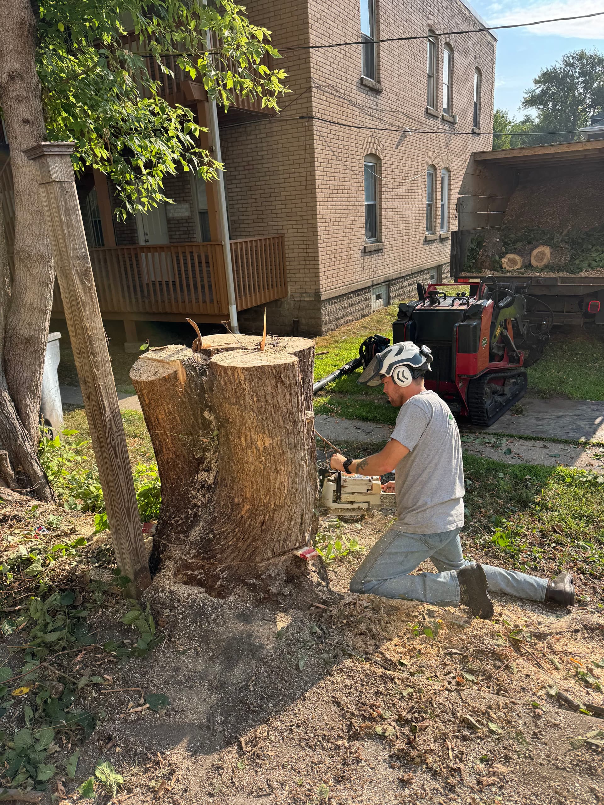 6 Foot Spar Removal + Stump Grind image