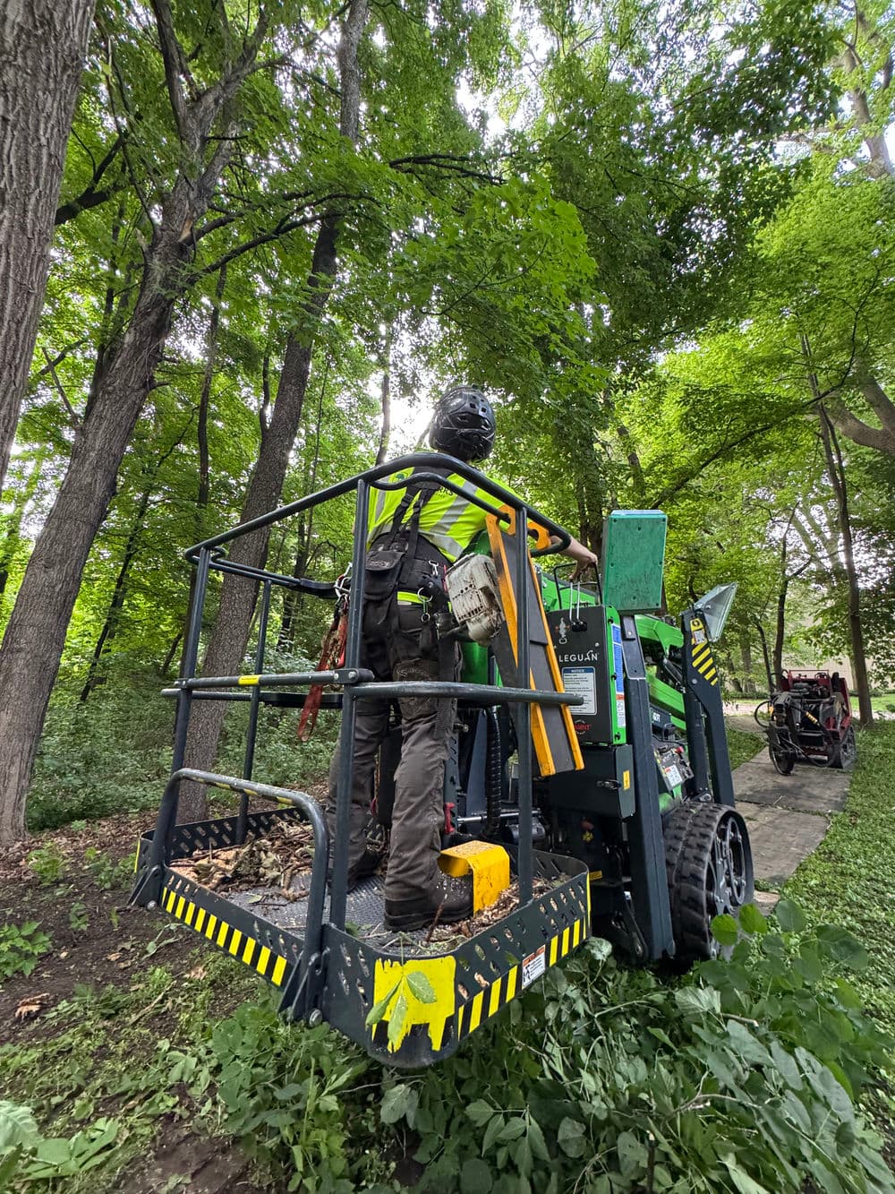 Tree Removal and Pruning Opens Up a Backyard in Plymouth MN image