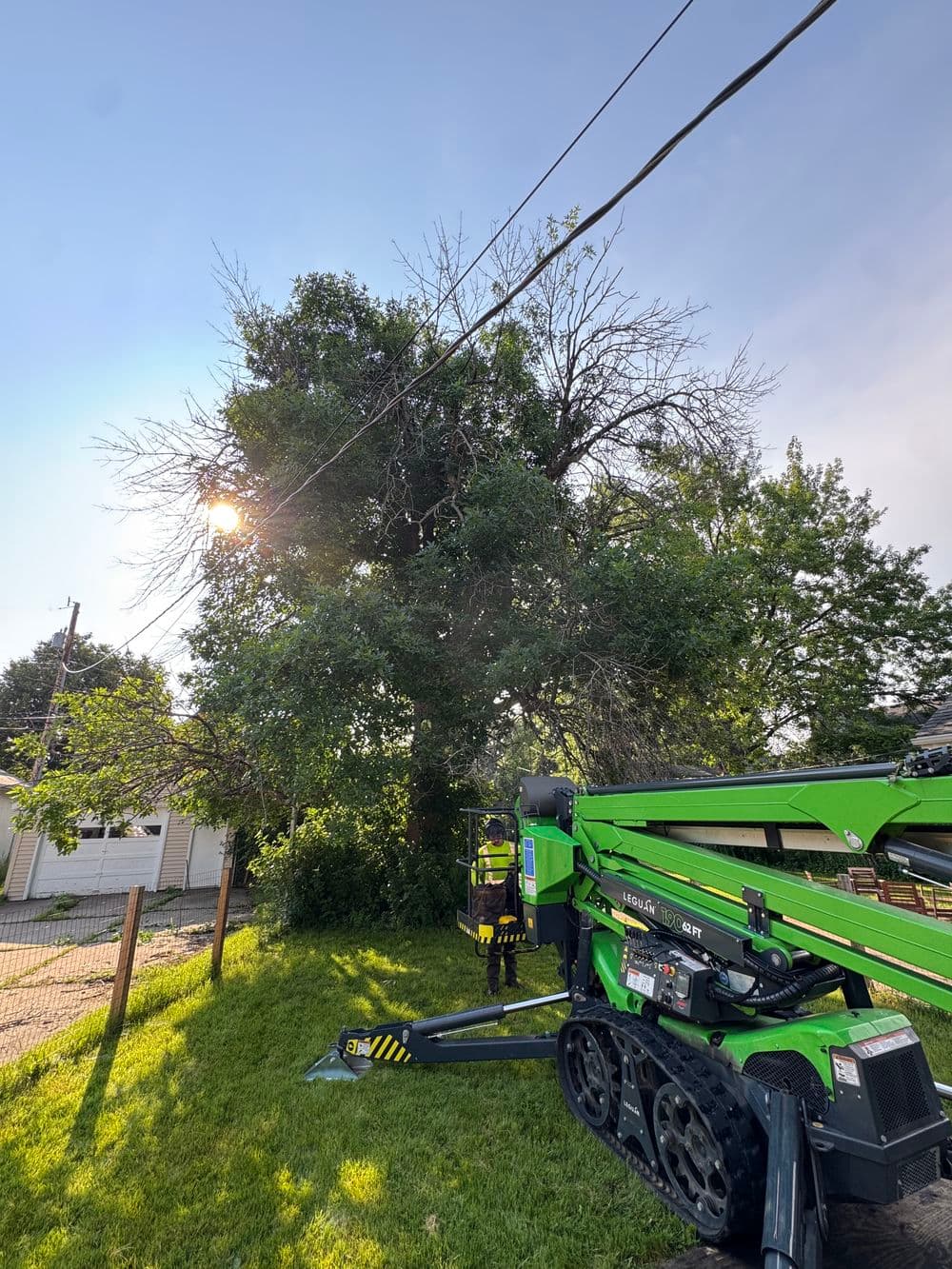 Ash Tree Removal Near Power Lines in St. Paul image
